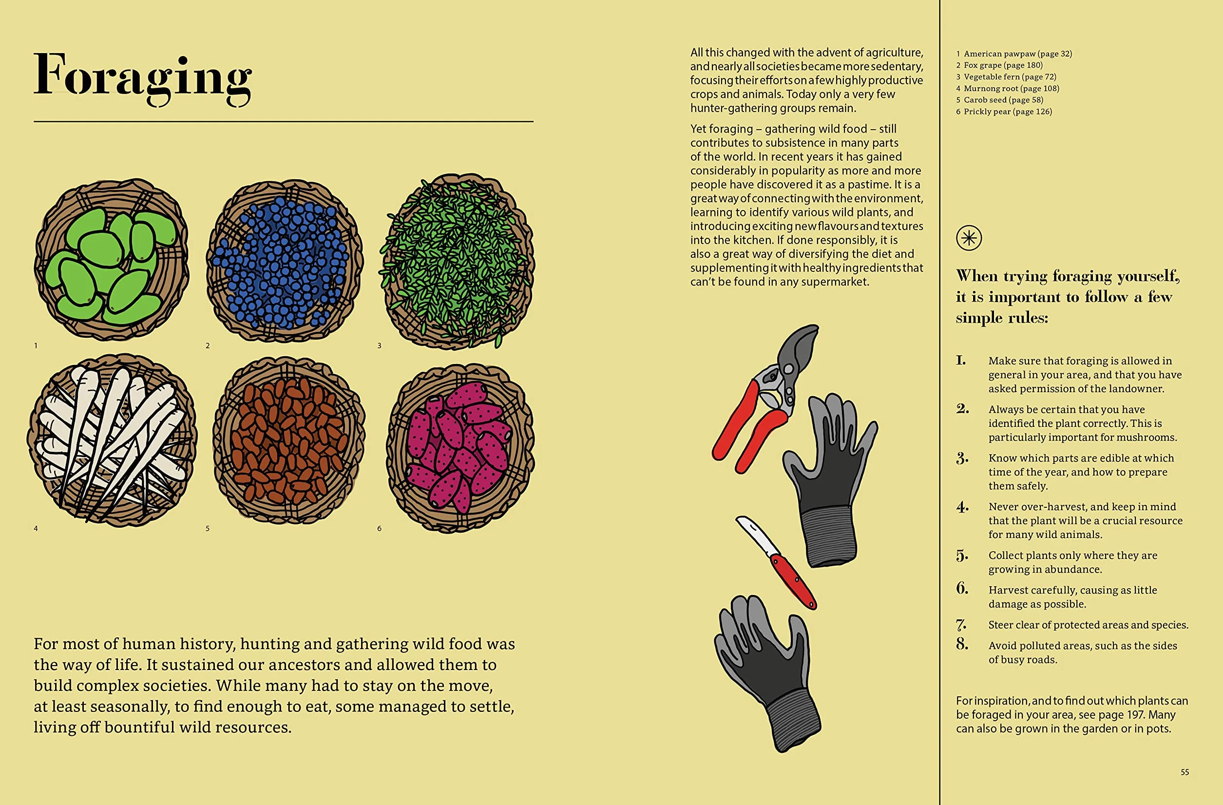 Edible : 70 Sustainable Plants That Are Changing How We Eat /anglais