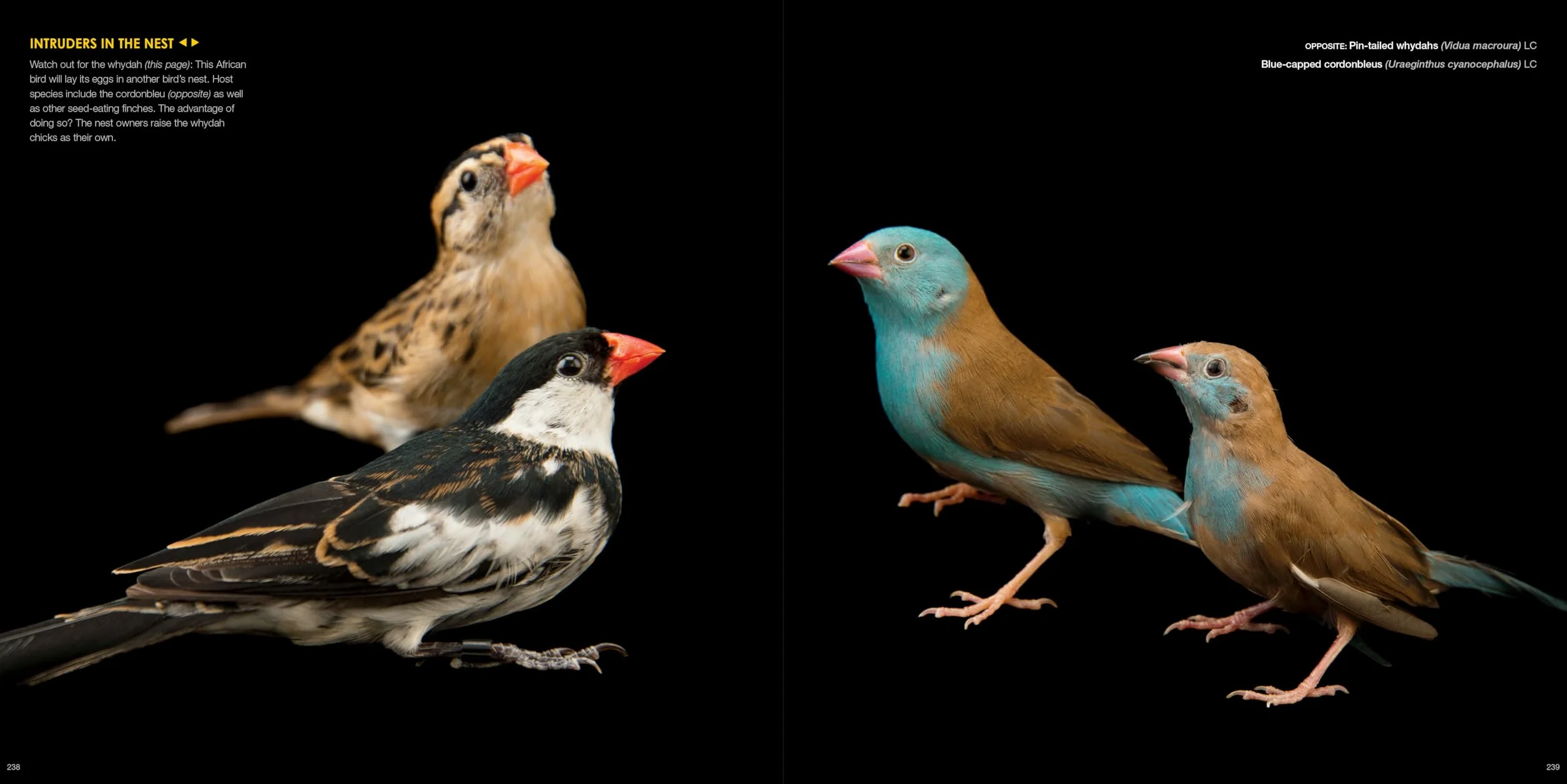 National Geographic The Photo Ark: One Man's Quest to Document the World's Animals