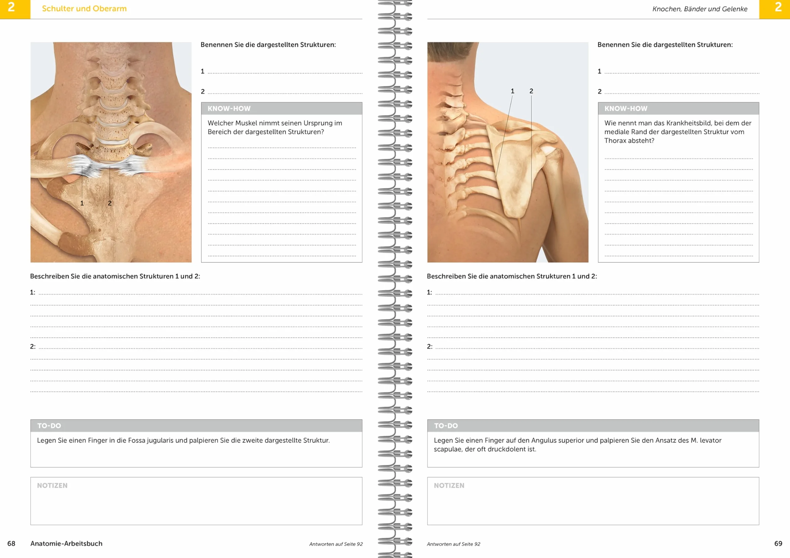 Anatomie-Arbeitsbuch: Anatomie aktiv erfahren und verstehen