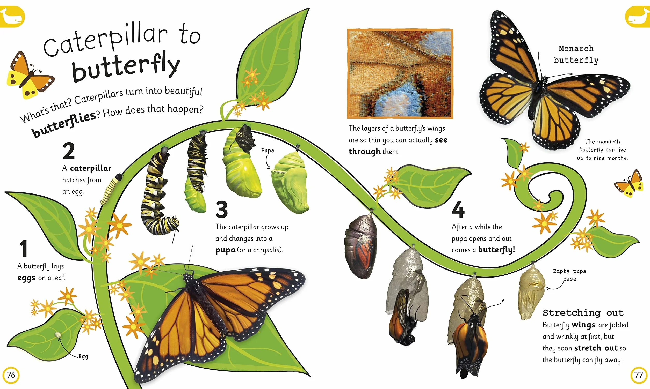 My Encyclopedia of Very Important Things: For Little Learners