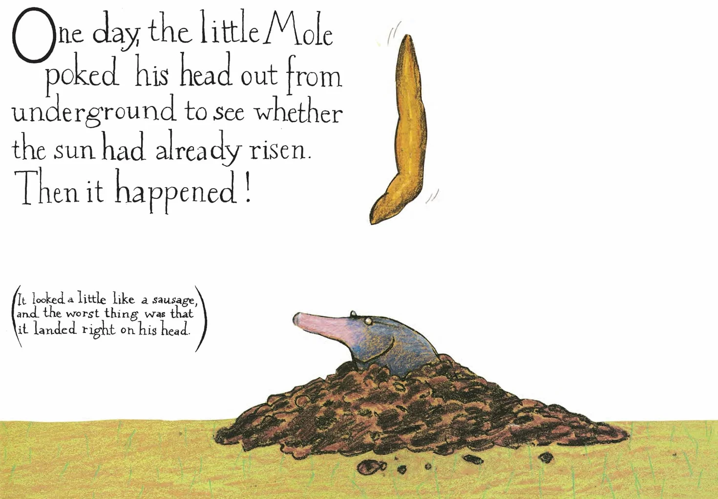 The Story of the Little Mole who knew it was none of his business: The hilarious children's illustrated classic