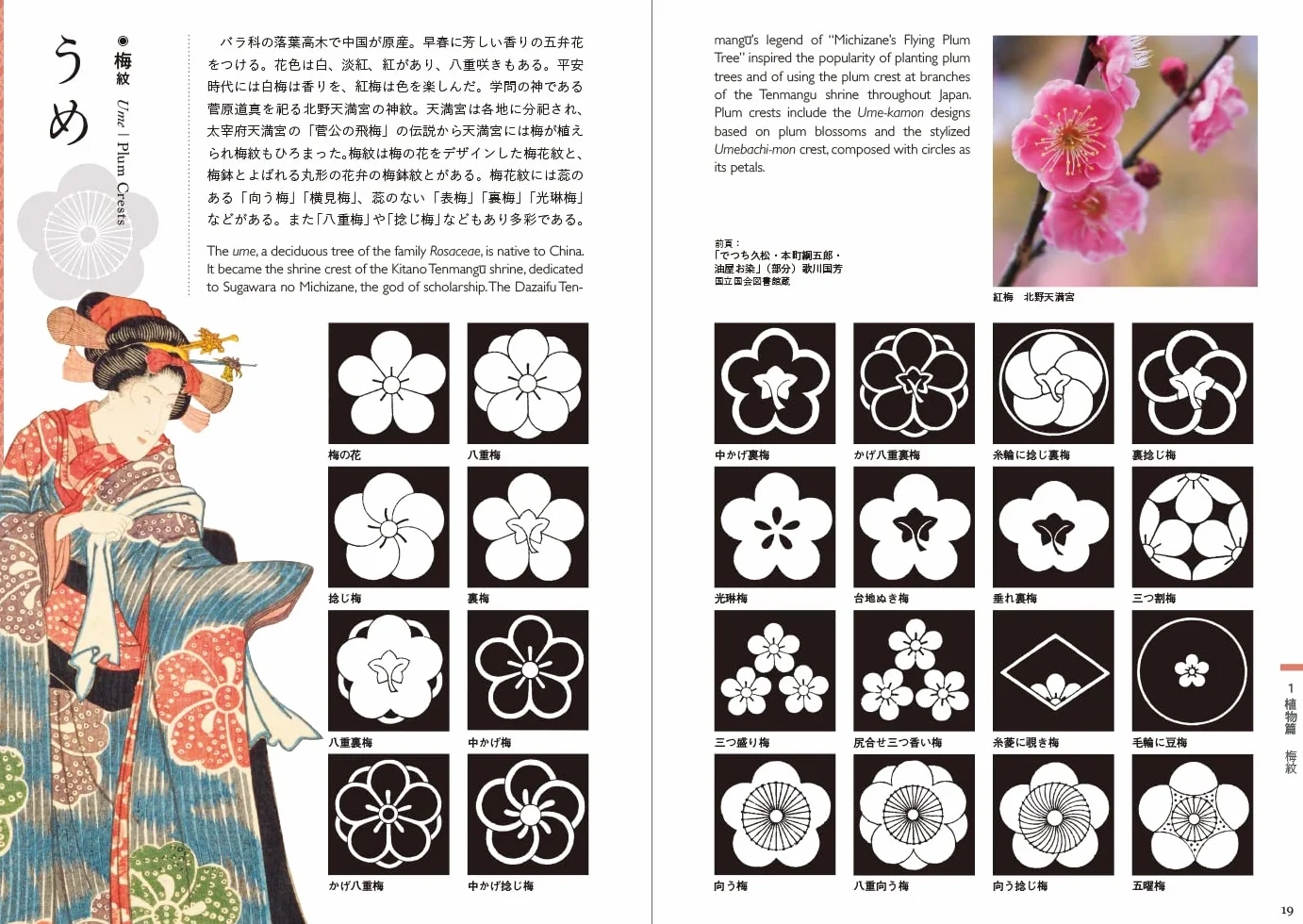 Japanese Family Crests and Designs /anglais/japonais