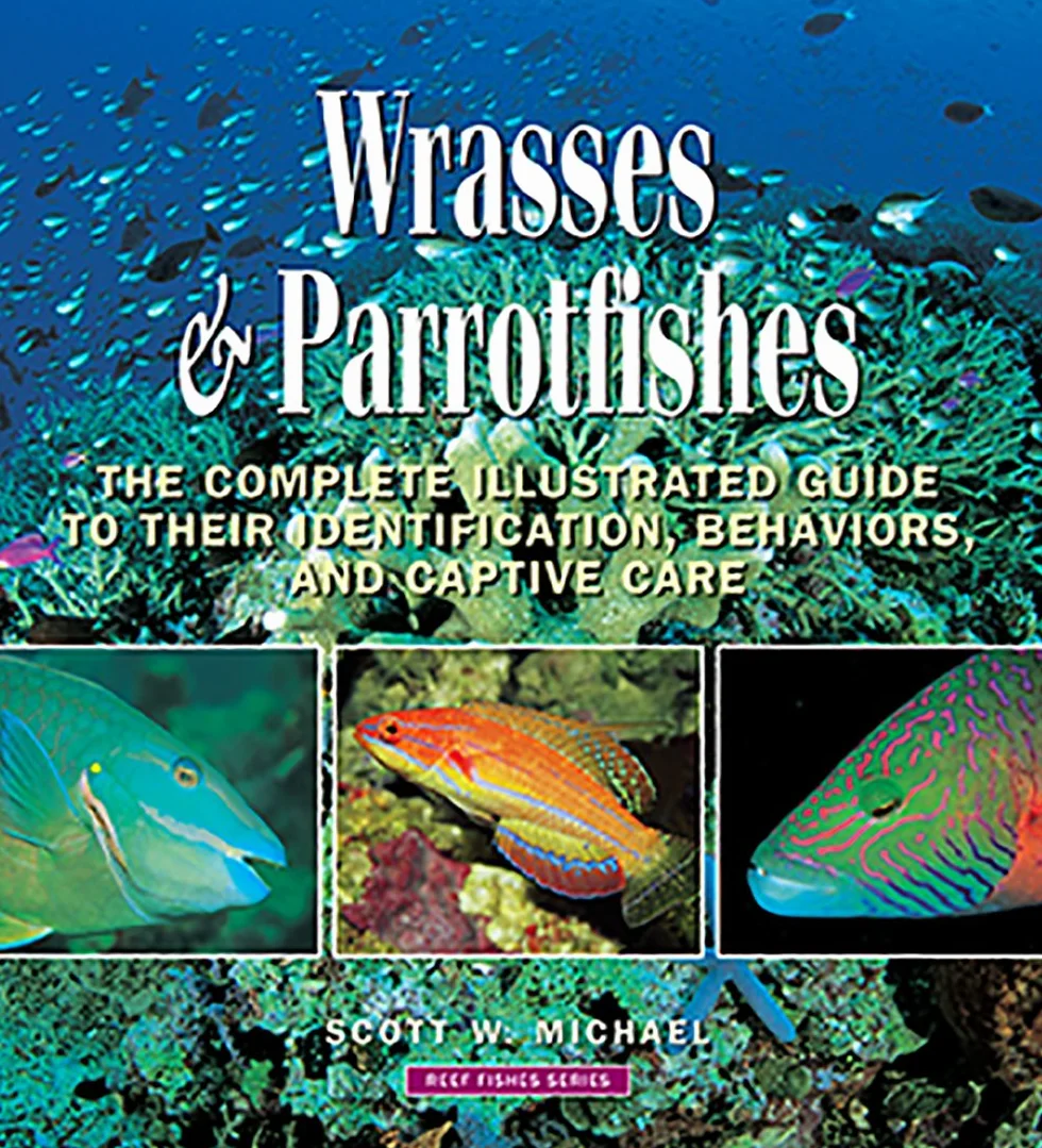 Wrasses & Parrotfishes
