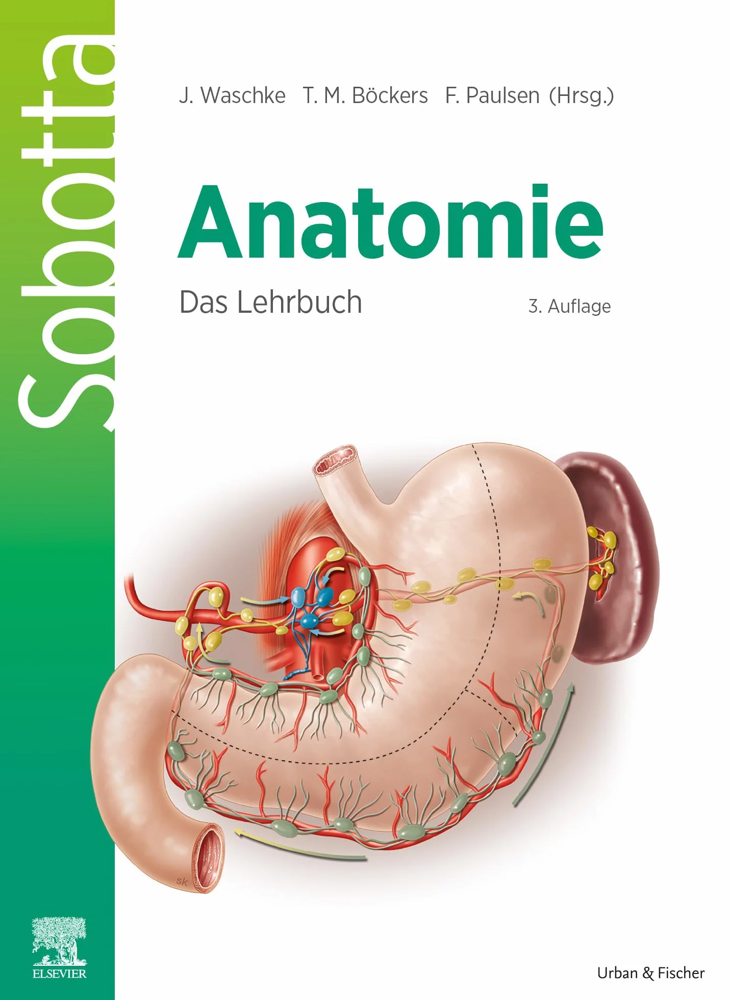 Sobotta Anatomie - Das Lehrbuch: Anatomie verstehen: Das Lehrbuch für Studierende der Human- und Zahnmedizin