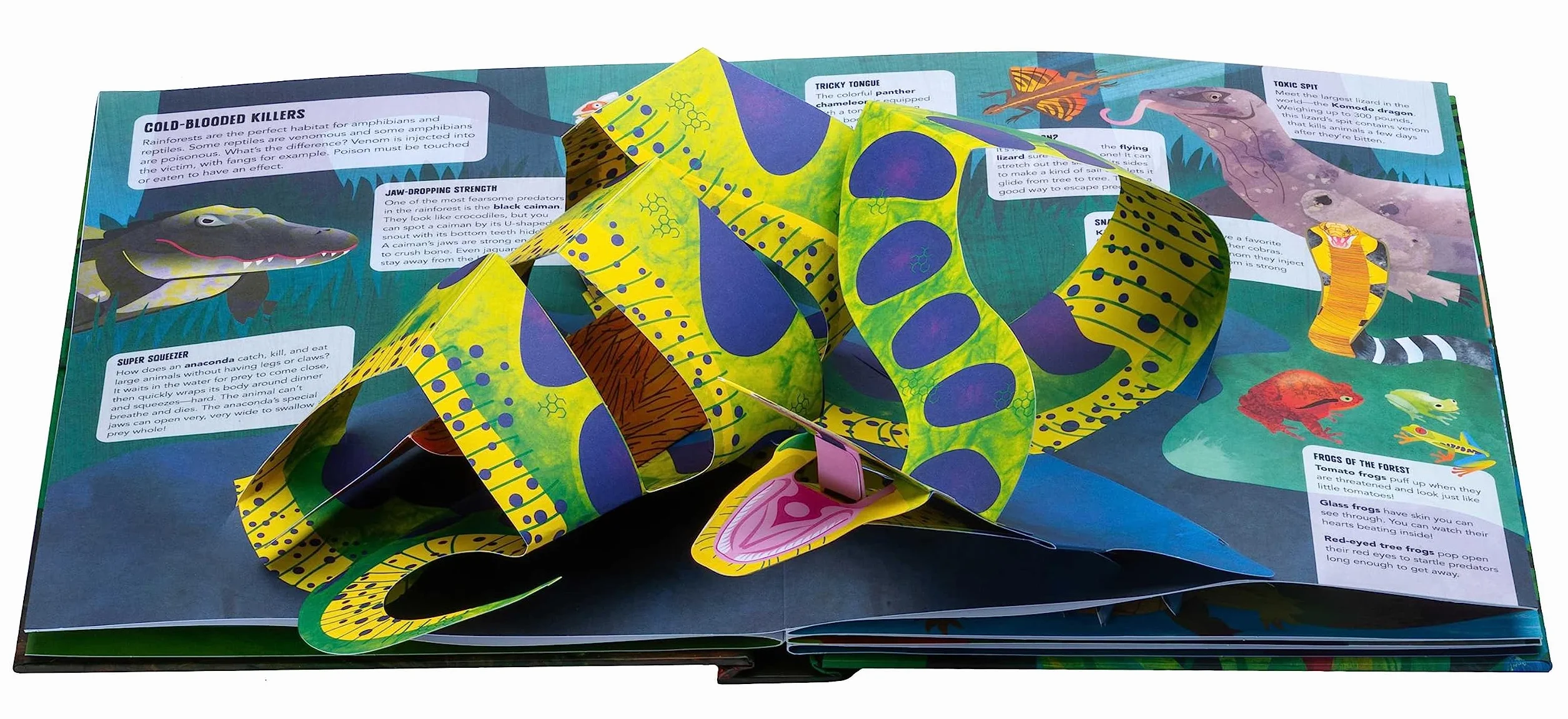 Paws, Claws, and Snapping Jaws Pop-Up Book (Reinhart Pop-Up Studio): A Rainforest Predators Pop-Up