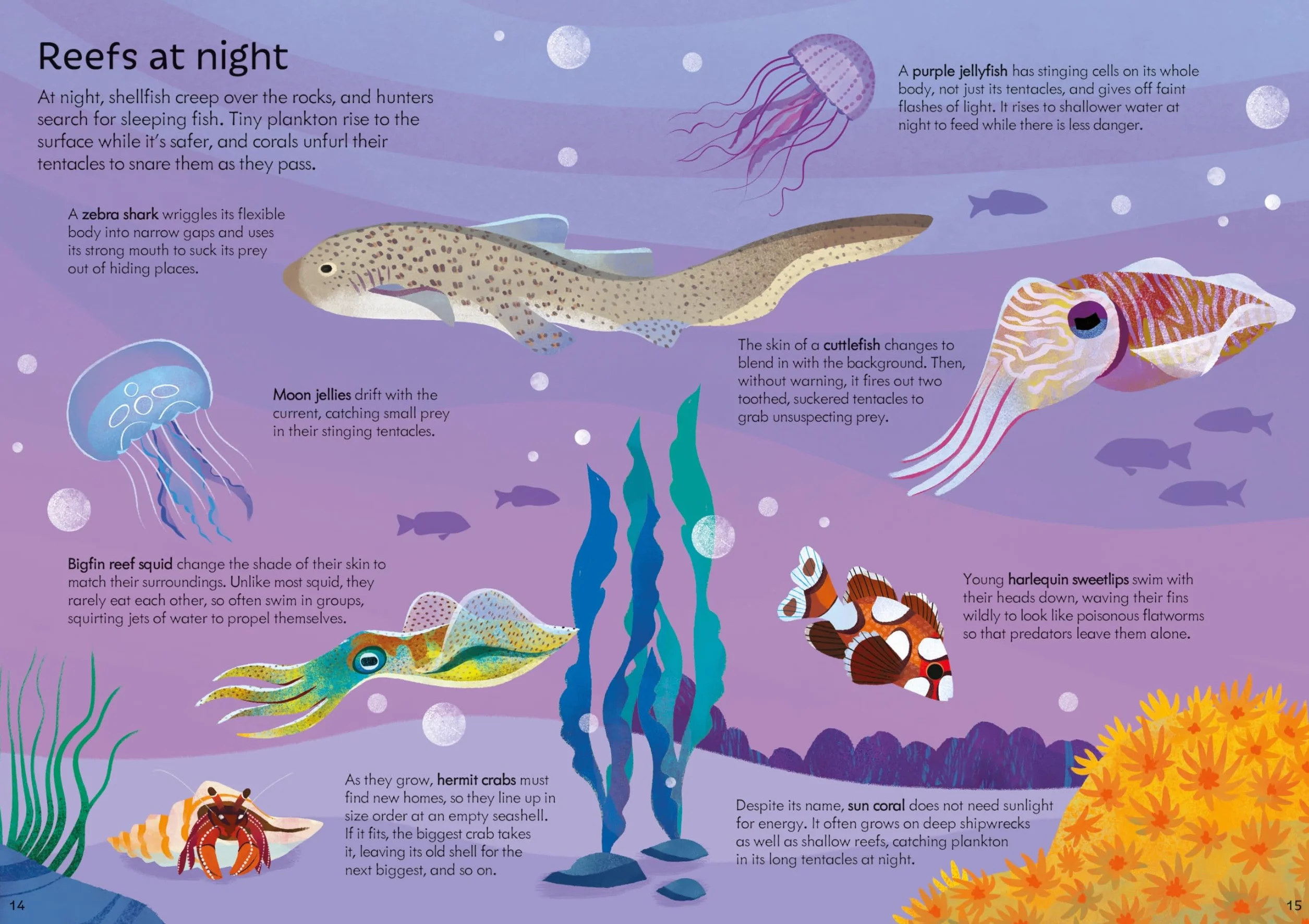 Usborne Book and Jigsaw Coral Reef