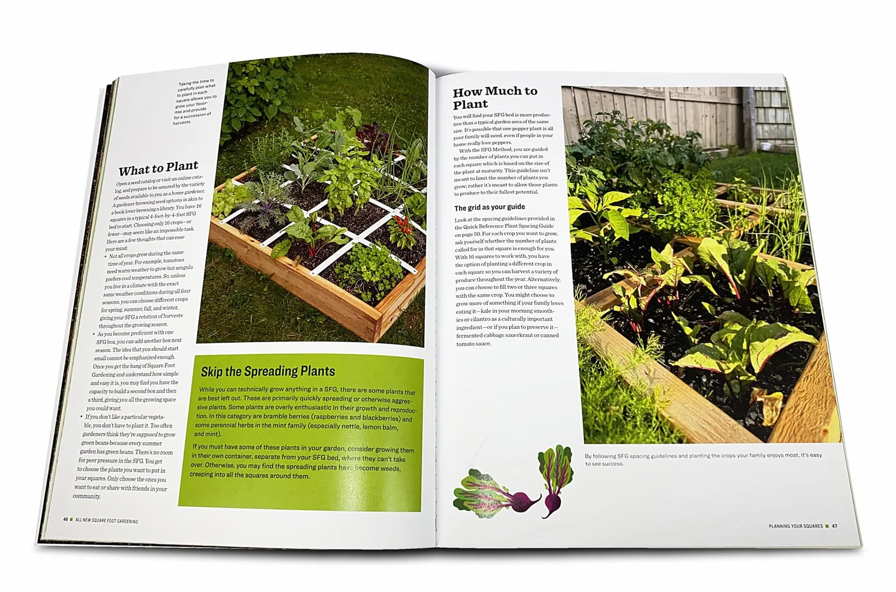 All New! Square Foot Gardening, 4th Edition: The World's Most Popular Growing Method to Harvest More Food from Less Space - Urban to Rural-Garden ... Revised & Updated for Today's Gardener: 7