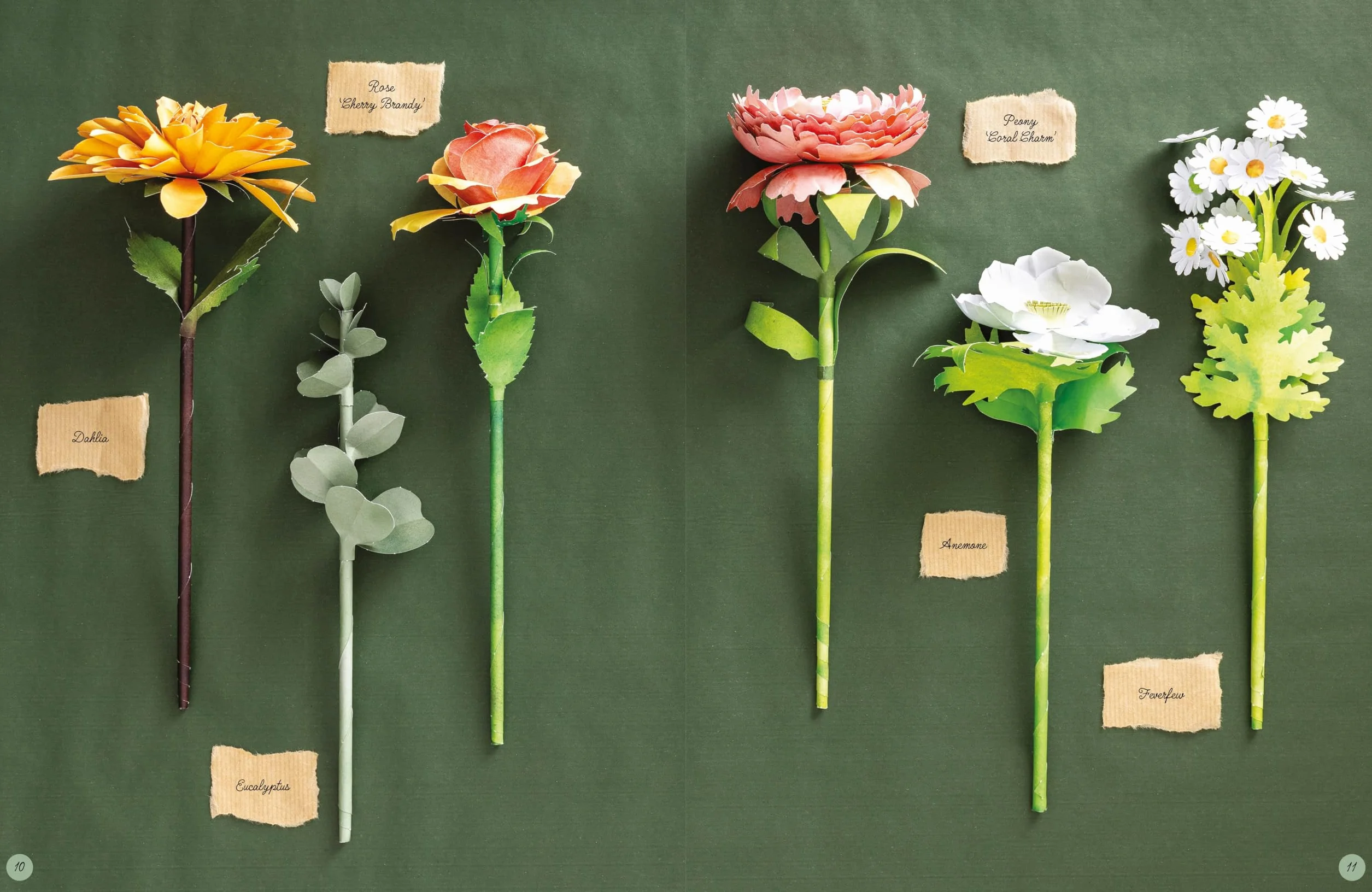The Bouquet in a Book: Pre-Punched Pages to Press Out and Make: 1