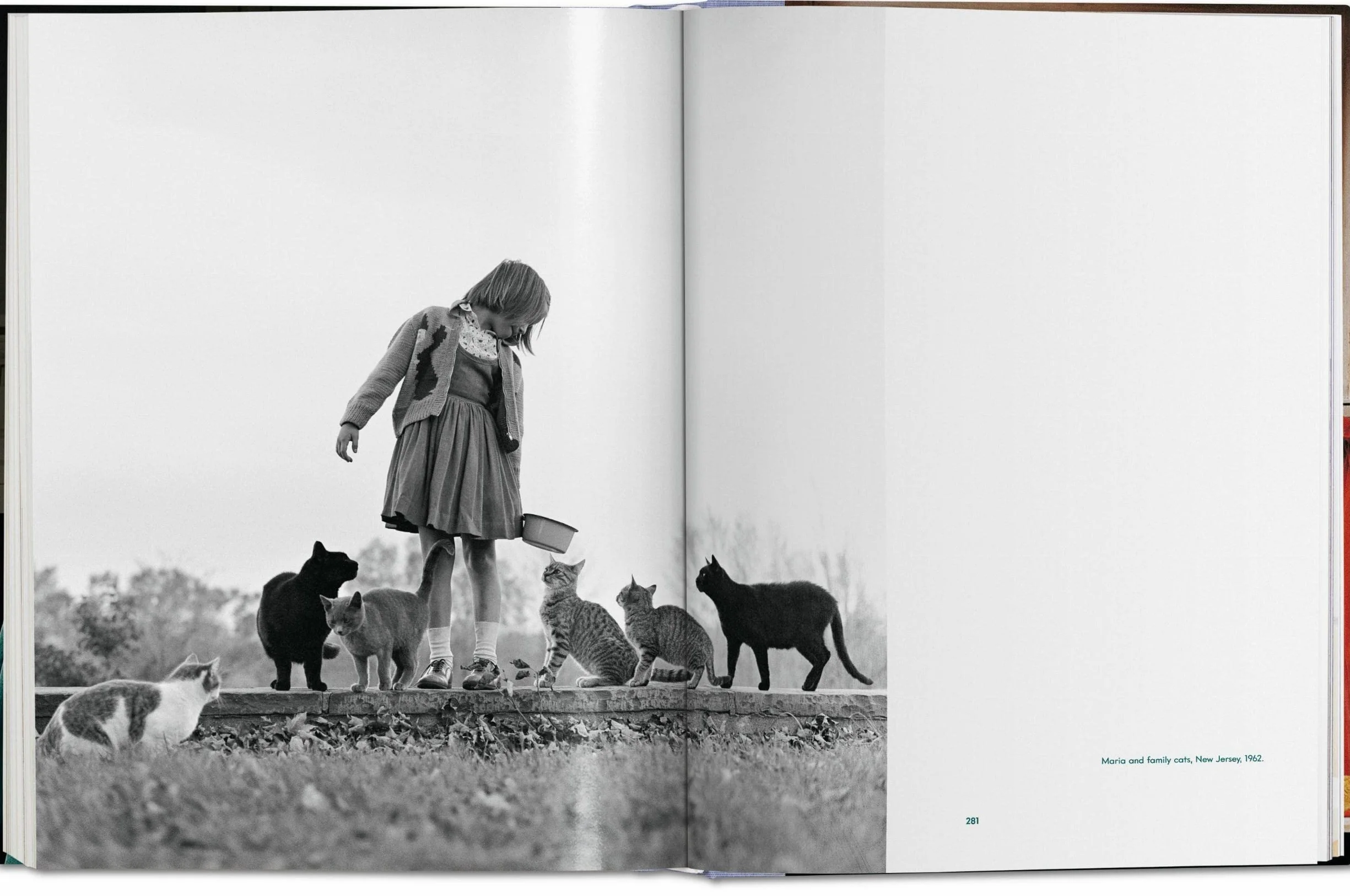 Cats Photographs 1942-2018