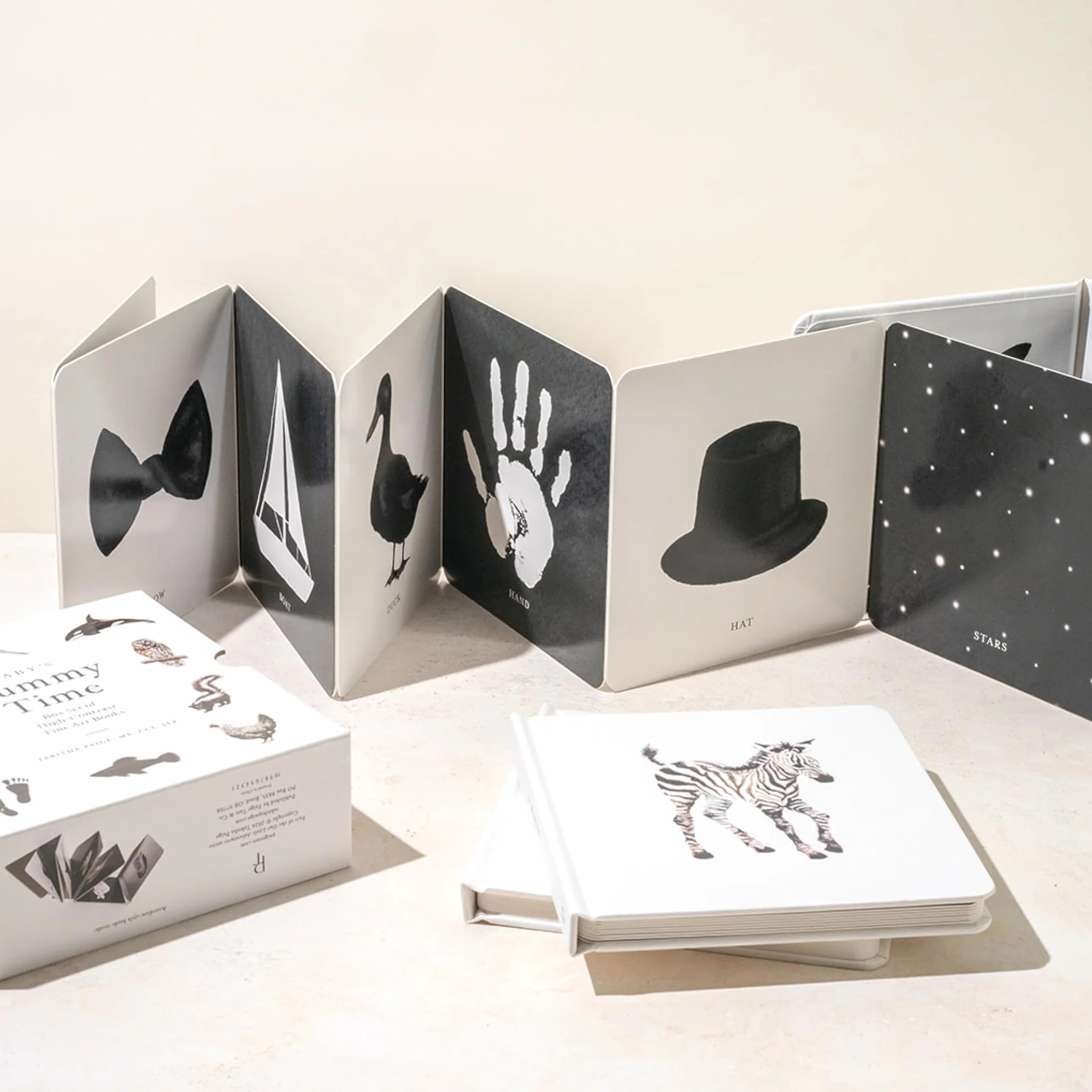 Baby's Tummy Time Book Box Set: A 3-Book Box Set of High-Contrast Art for Visual Stimulation at Tummy Time: 6