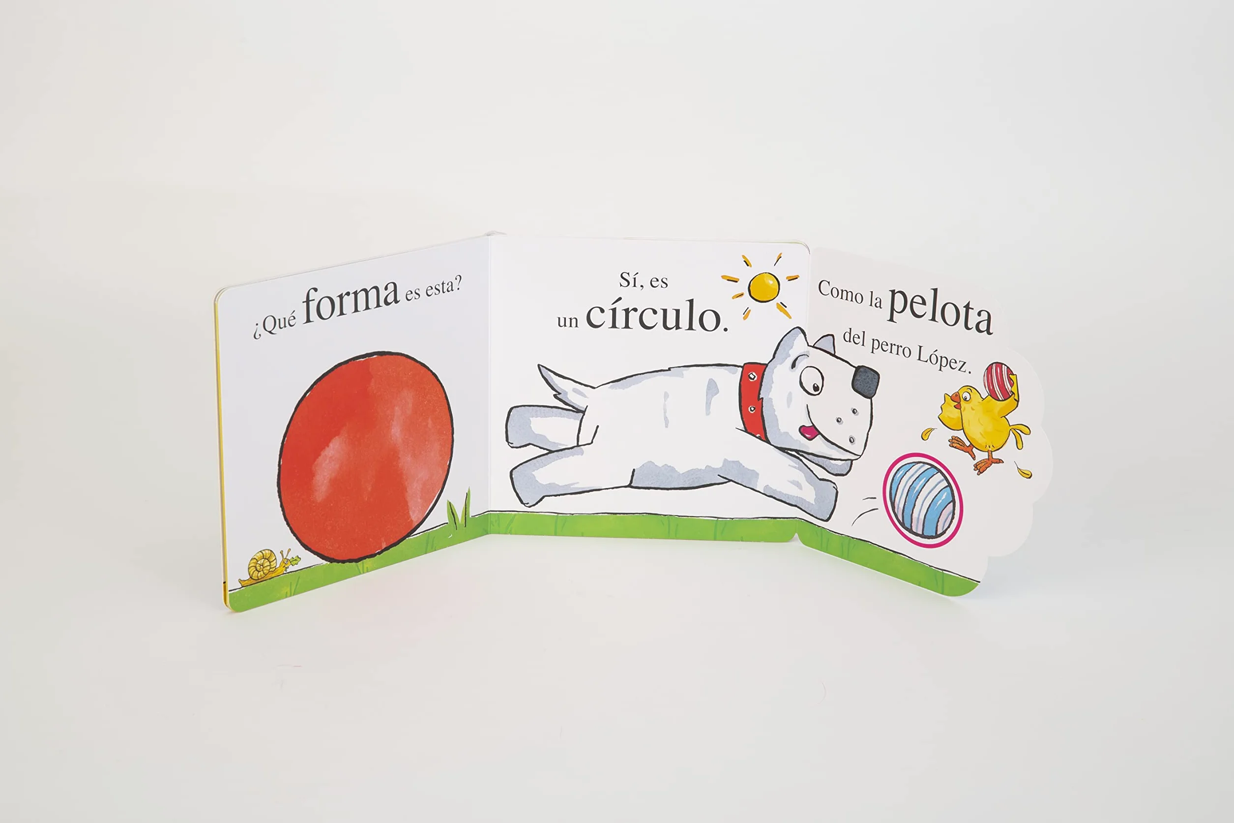 El pollo Pepe y las formas