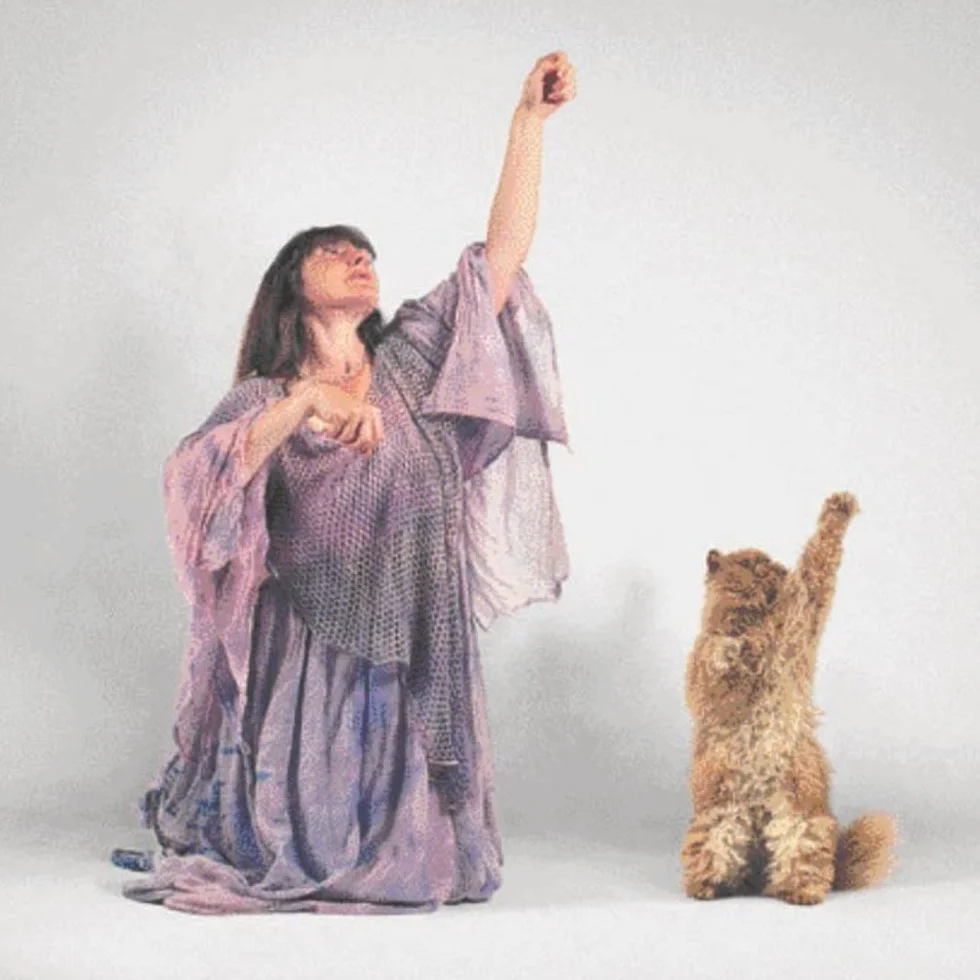 Dancing with Cats: From the Creators of Why Cats Paint, Cat Photography Book for Cat Lovers