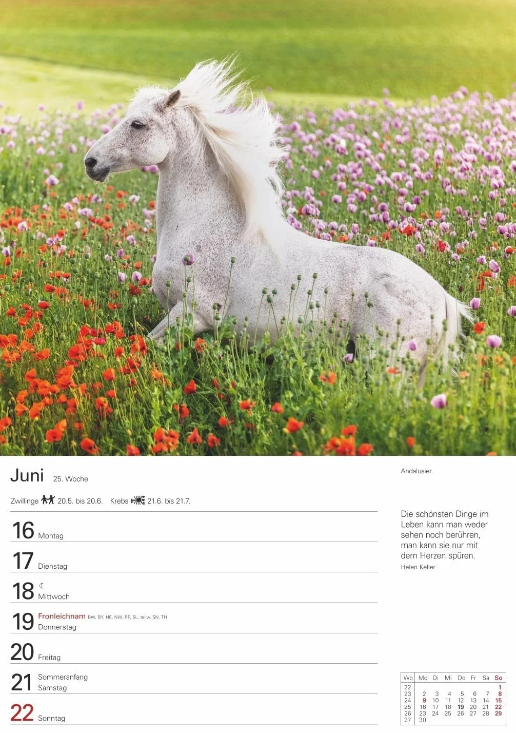 Pferde Wochenplaner 2025 - 53 Blatt mit Zitaten und Wochenchronik: Wochenkalendarium, Zitate und Pferdefotos in einem praktischen Termin-Kalender. ... Fotokalender mit Raum für Notizen