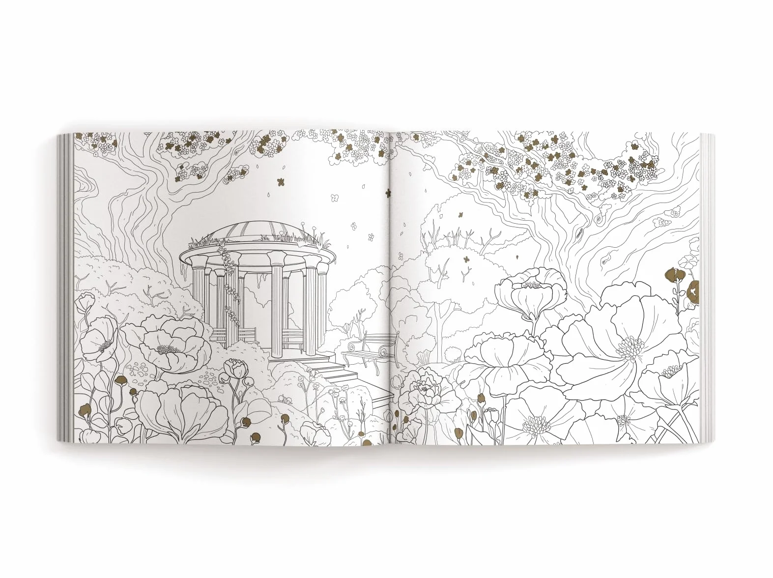 Enchanted: Color Your Way Through Nature's Hidden Gems