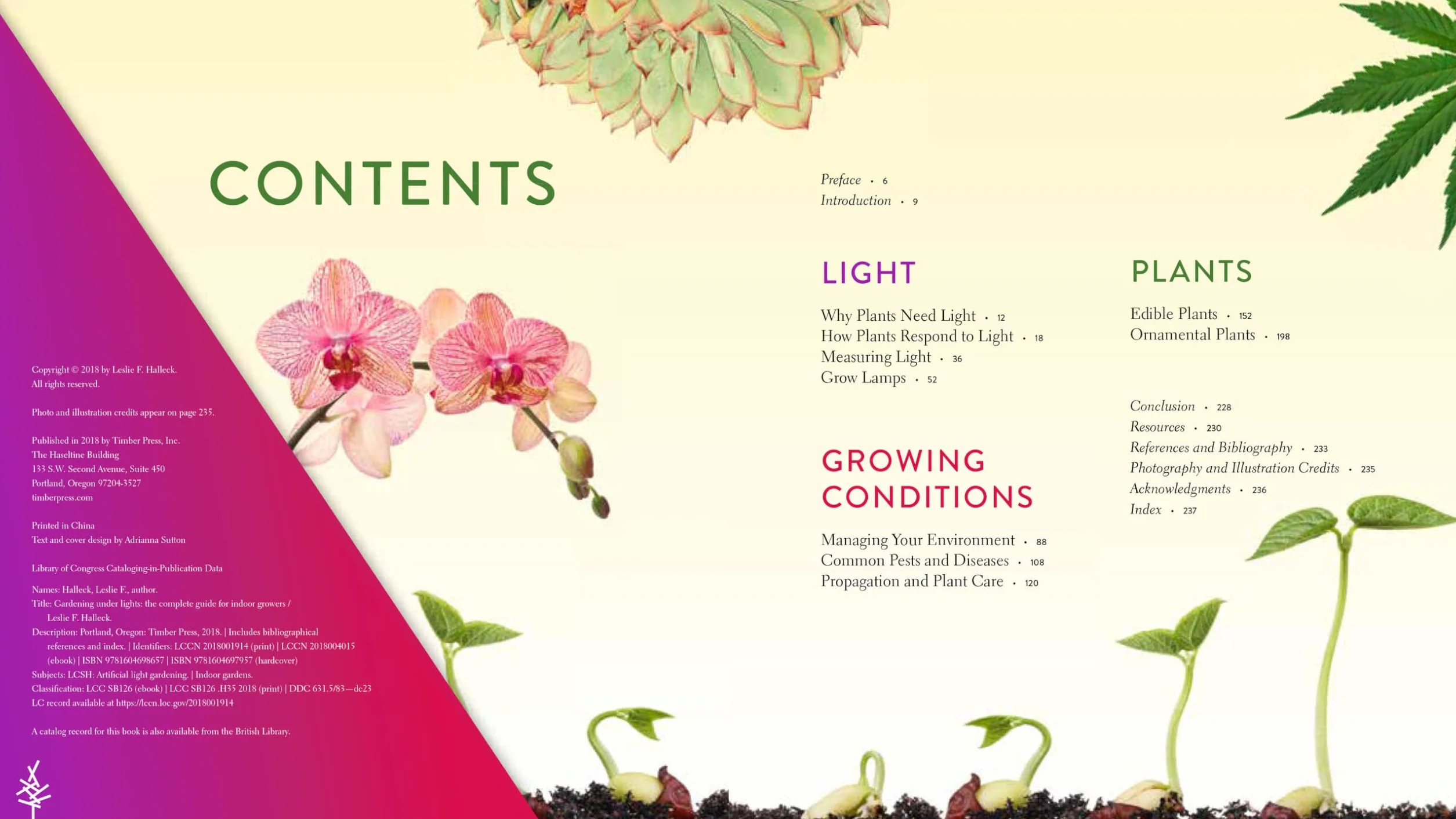 Gardening Under Lights: The Complete Guide for Indoor Growers