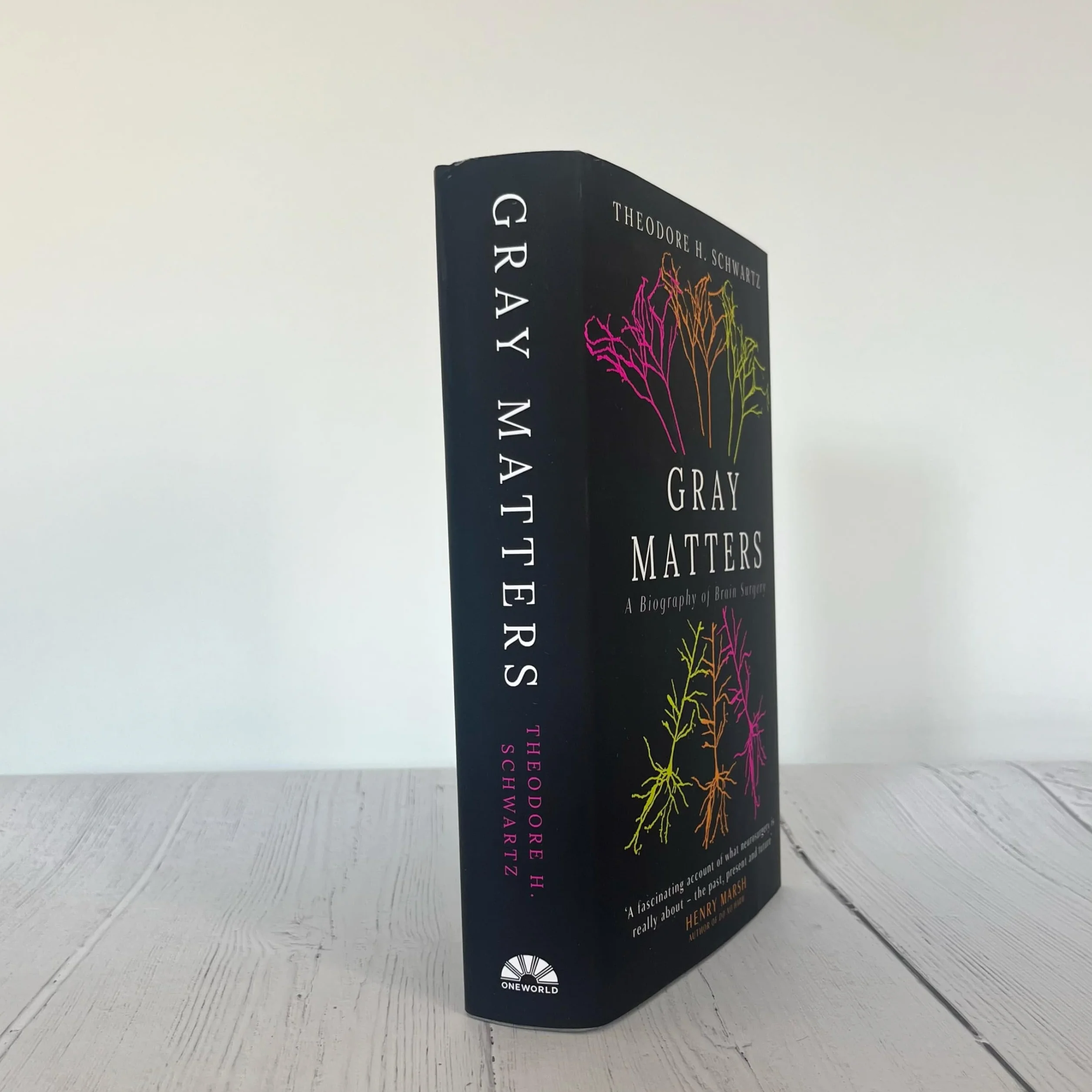Gray Matters: A Biography of Brain Surgery