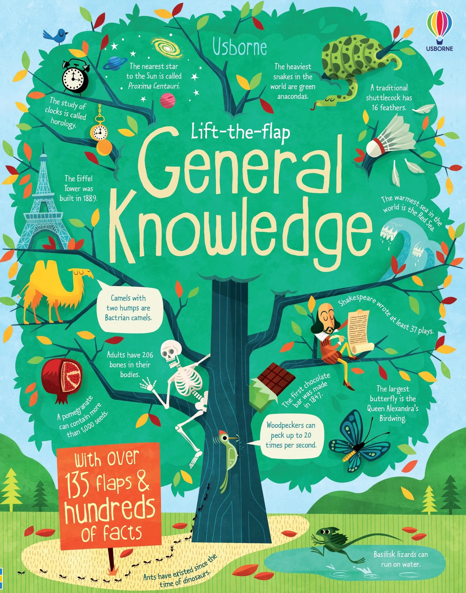 Lift-the-Flap General Knowledge (See Inside)