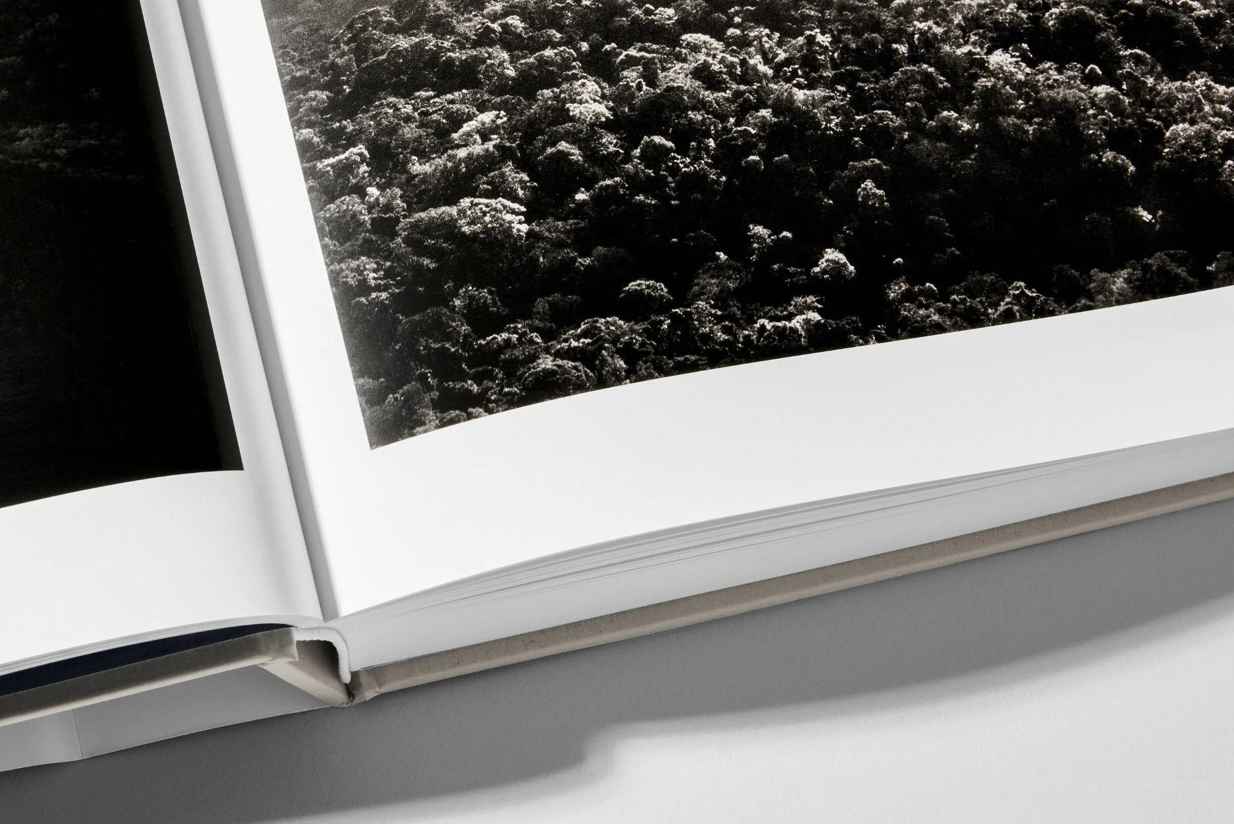 Sebastião Salgado. Amazônia
