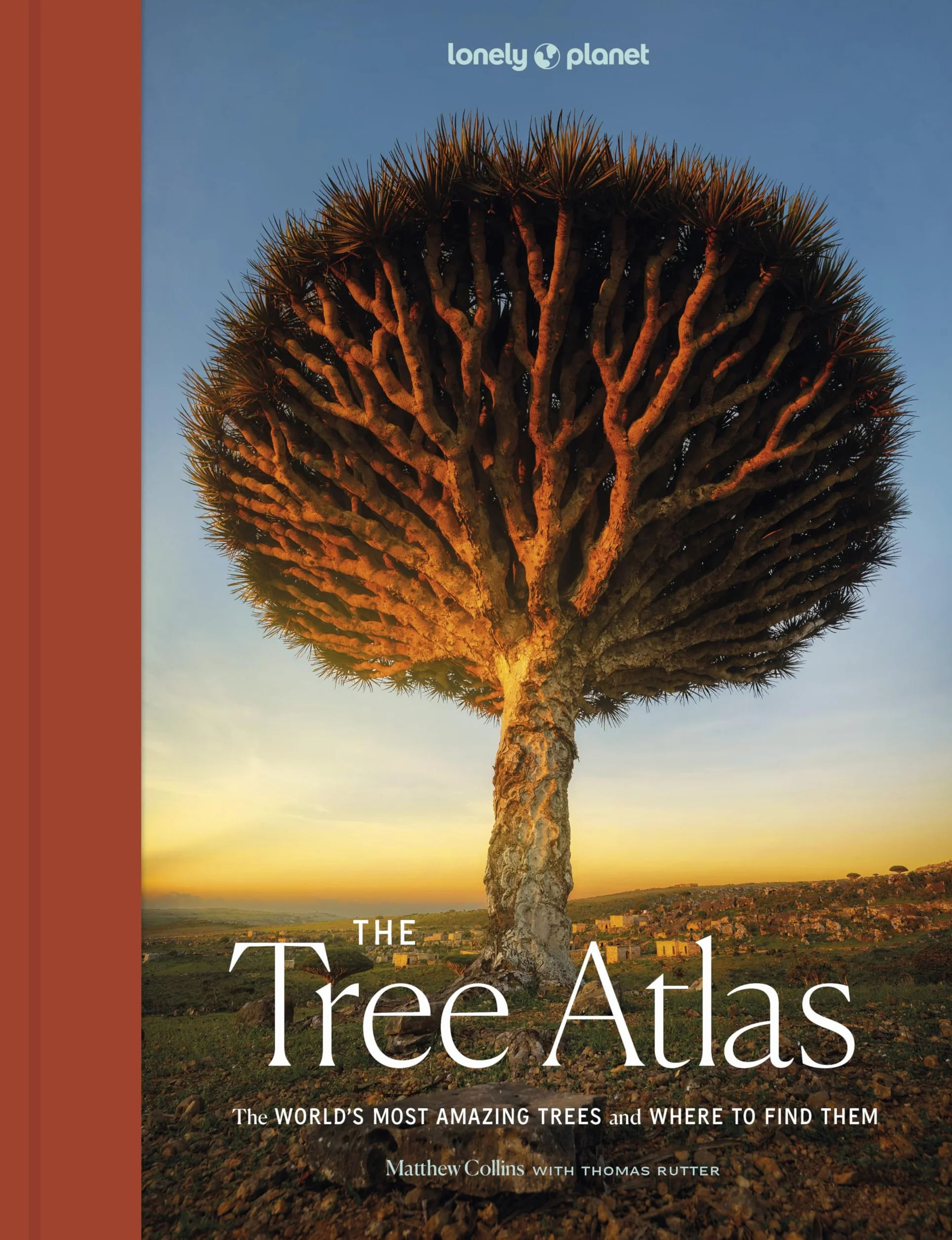 The Tree Atlas 1 -anglais-: 50 Magnificent Species Across the Planet | Practical Travel Advice to See Each Natural Wonder | Exquisite Photography & Illustrations