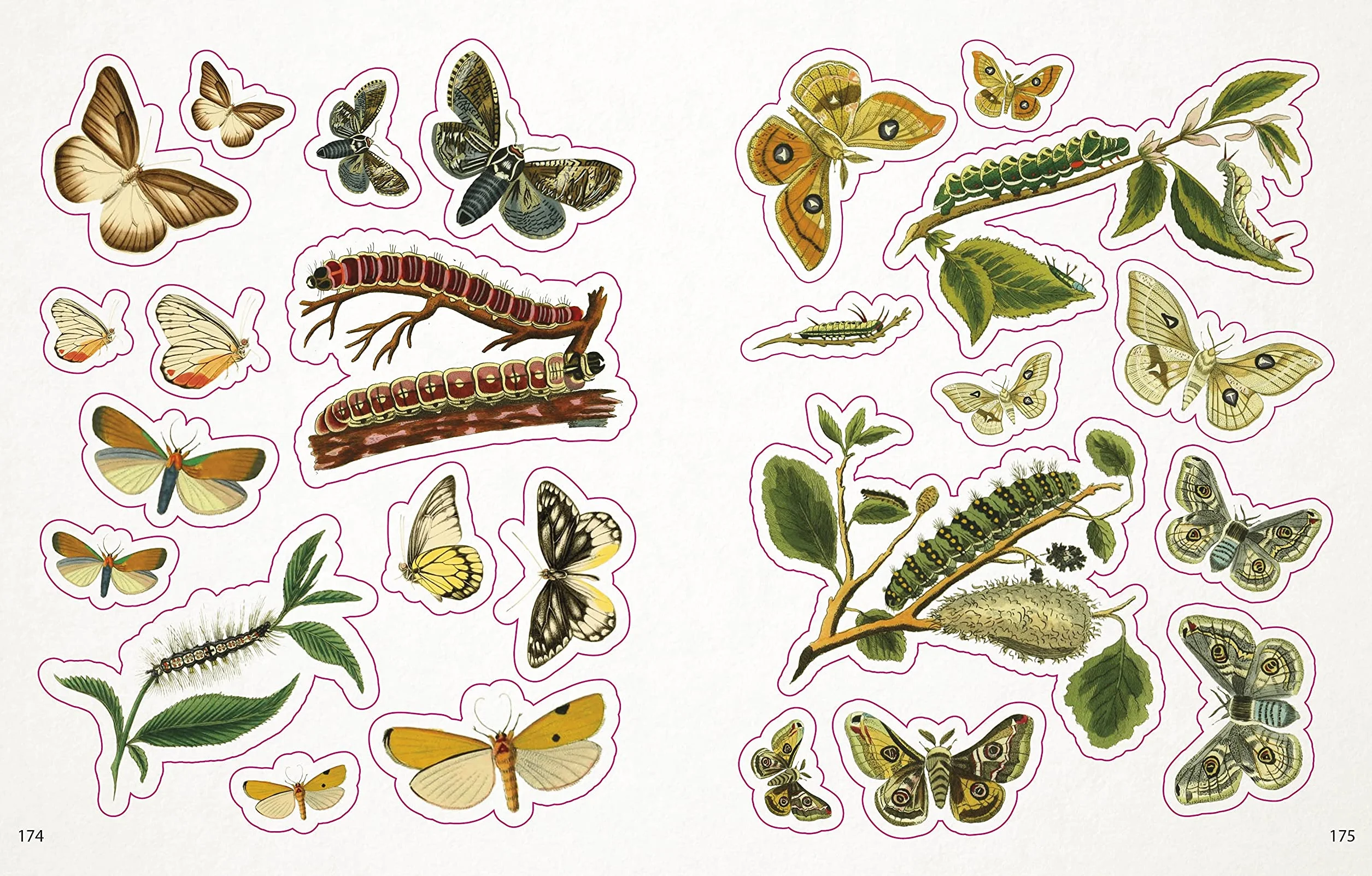 The Bees, Birds & Butterflies Sticker Anthology: With More Than 1,000 Vintage Stickers