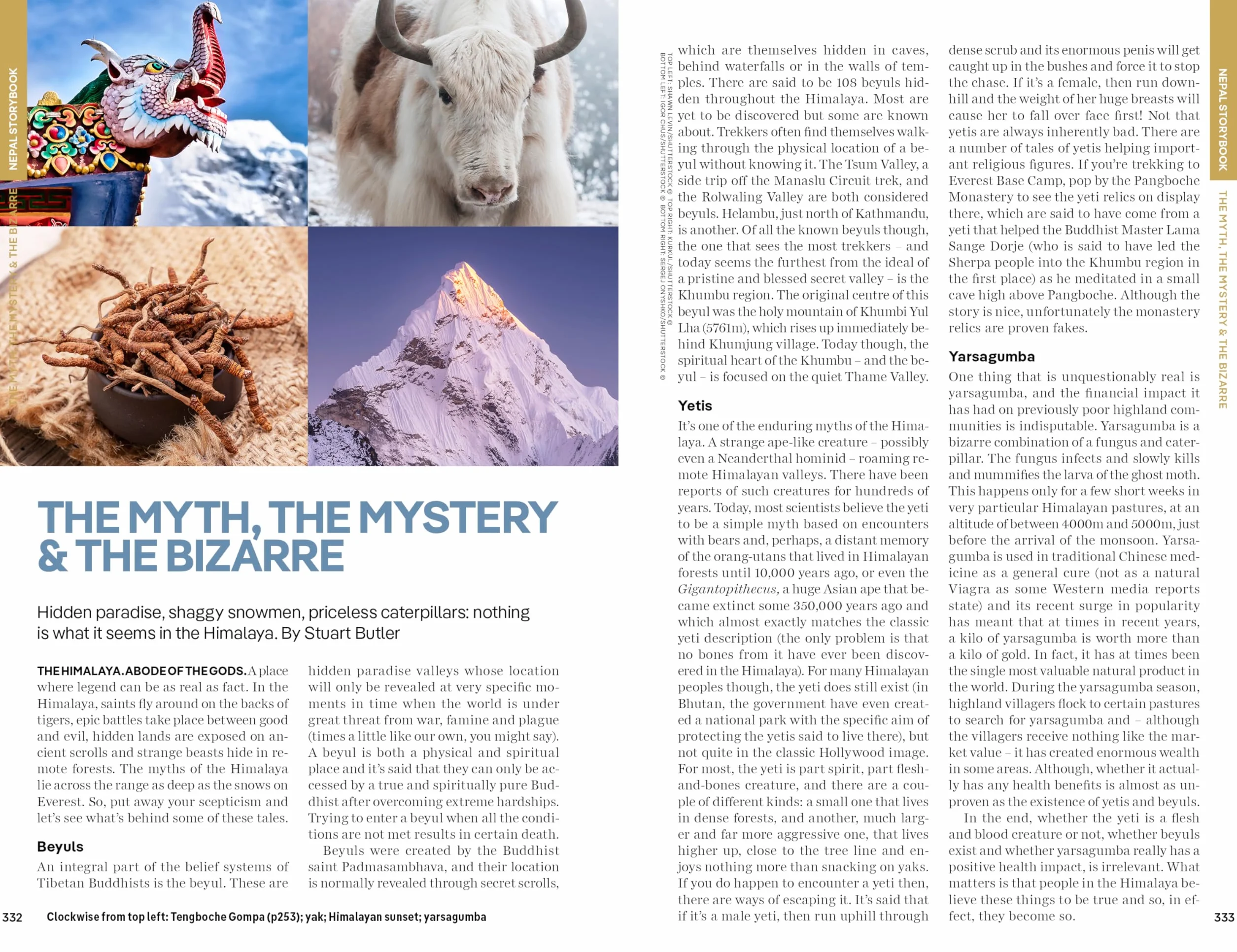 Nepal - 12ed - Anglais: Detailed Itineraries | Travel Like a Local | Insider Tips | Covers Kathmandu, Pokhara, Terai, Mahabharat Range, and more