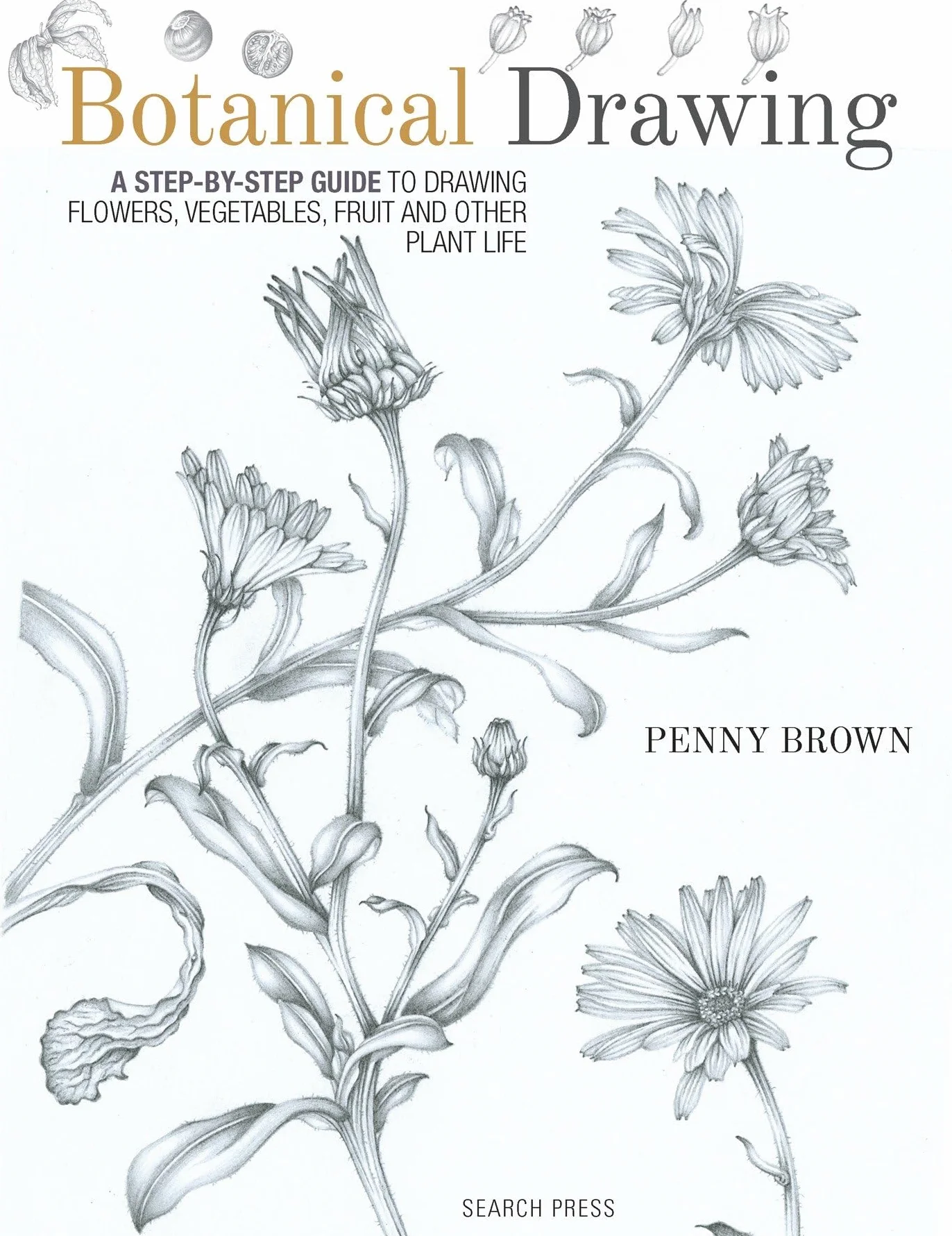 Botanical Drawing: A Step-By-Step Guide to Drawing Flowers, Vegetables, Fruit and Plant Life