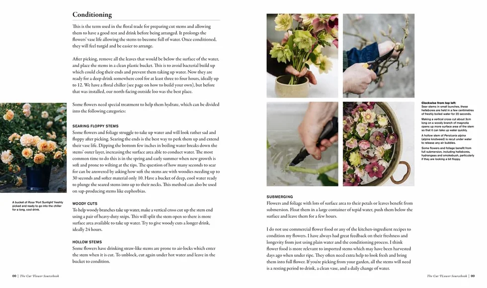 The Cut Flower Sourcebook: Exceptional Perennials and Woody Plants for Cutting