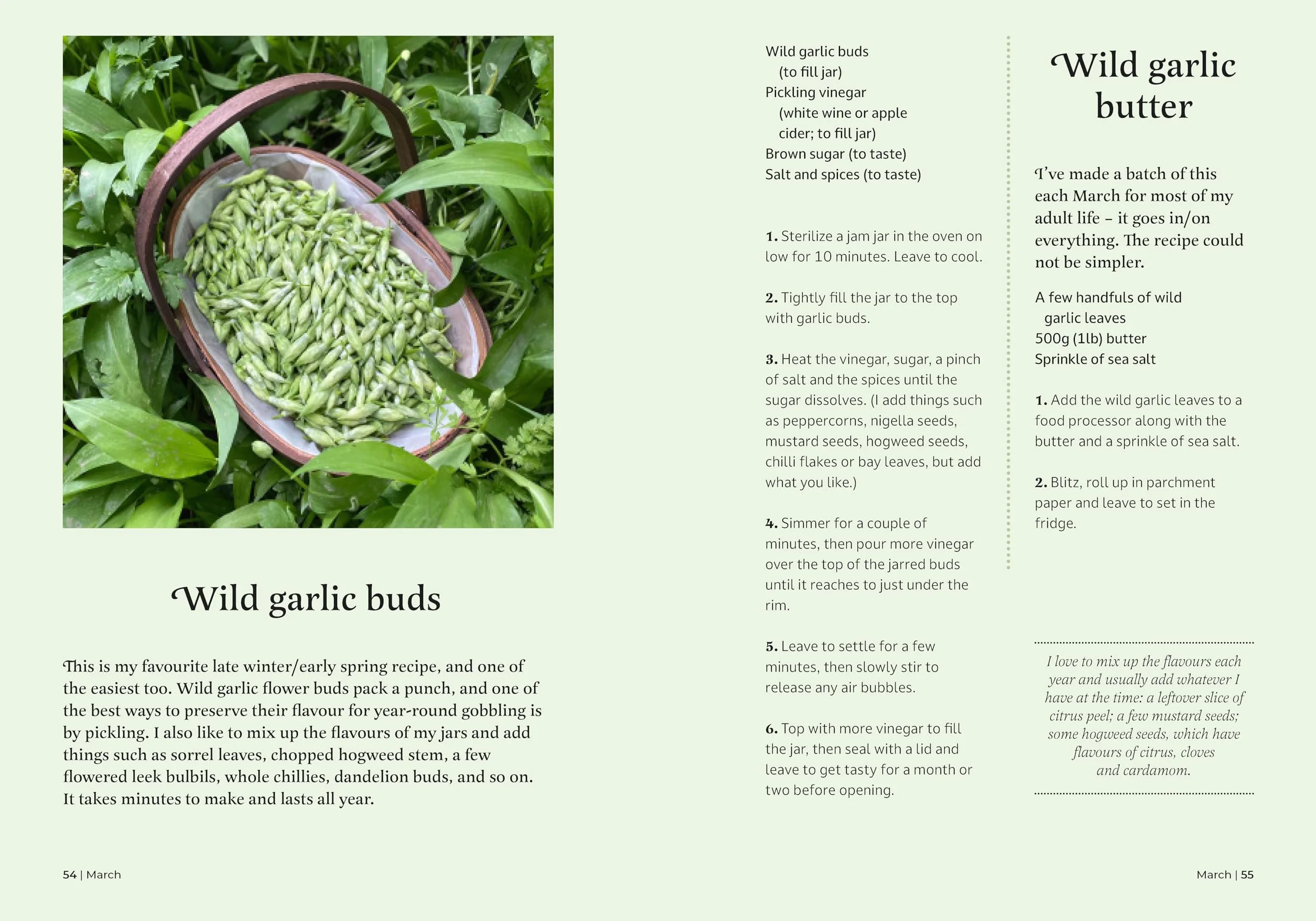 The Forager's Almanac: A Year of Sustainable Gathering, Growing, Recipes and Wildcraft