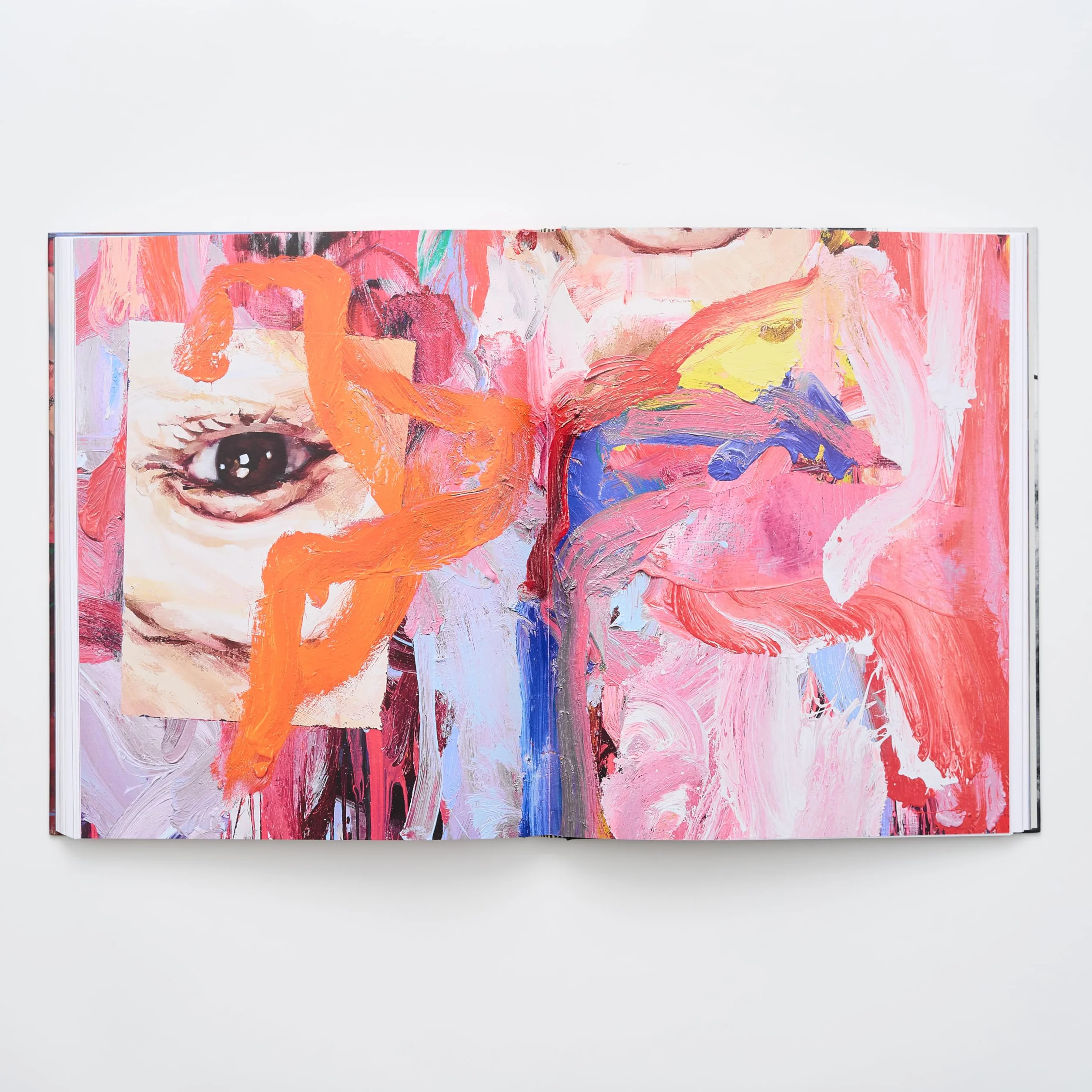 Jenny Saville The Anatomy of Painting /anglais