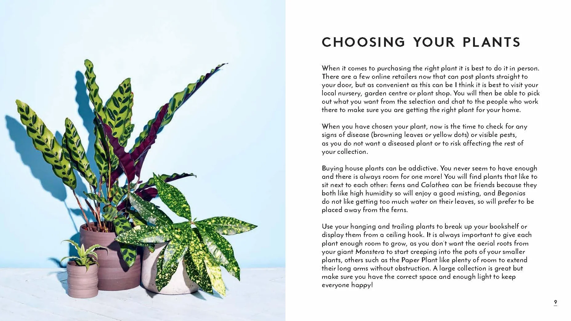 Little Book of House Plants and Other Greenery