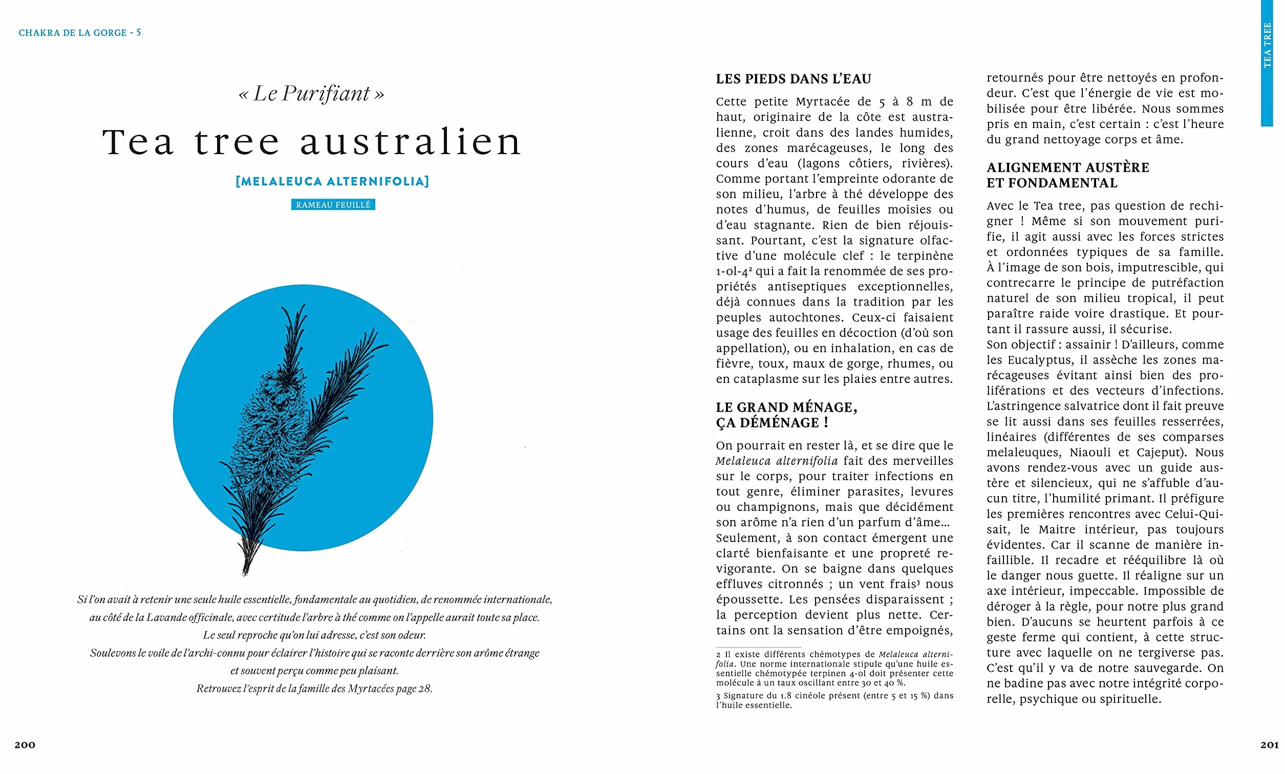 Le grand livre des huiles essentielles - médecine de l'âme et voie d'éveil: 50 huiles essentielles coeur, corps, esprit