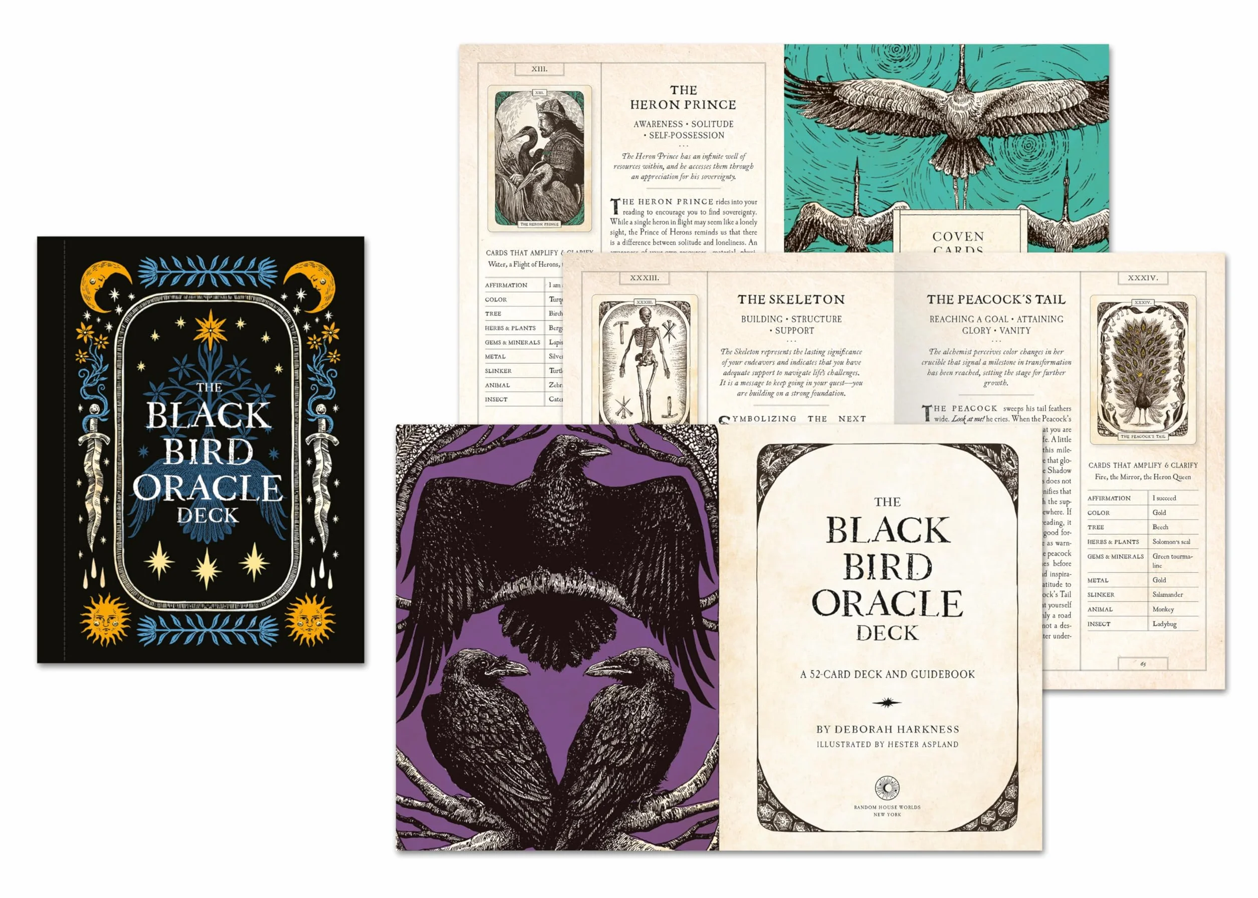 The Black Bird Oracle Deck: 52-Card Deck and Guidebook