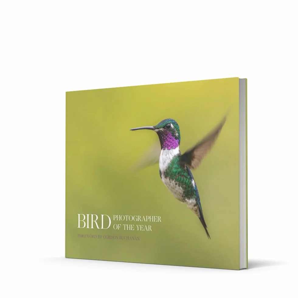 Bird Photographer of the Year