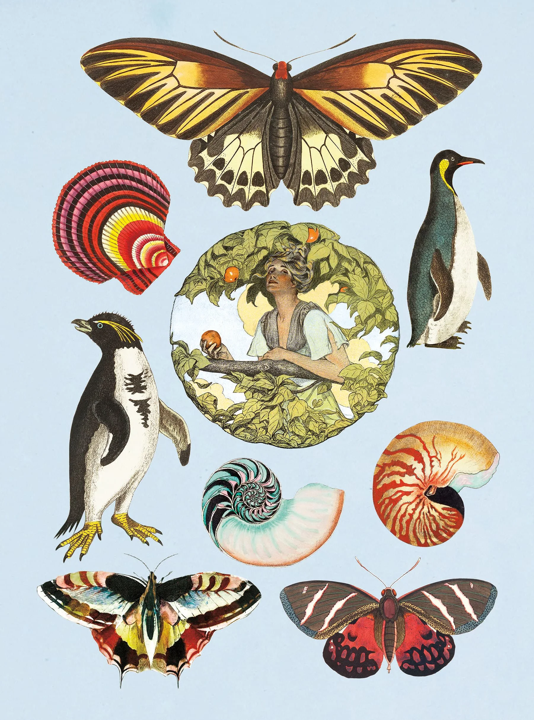 The Antiquarian Sticker Book (Over 1,000 Exquisite Victorian Stickers) /anglais