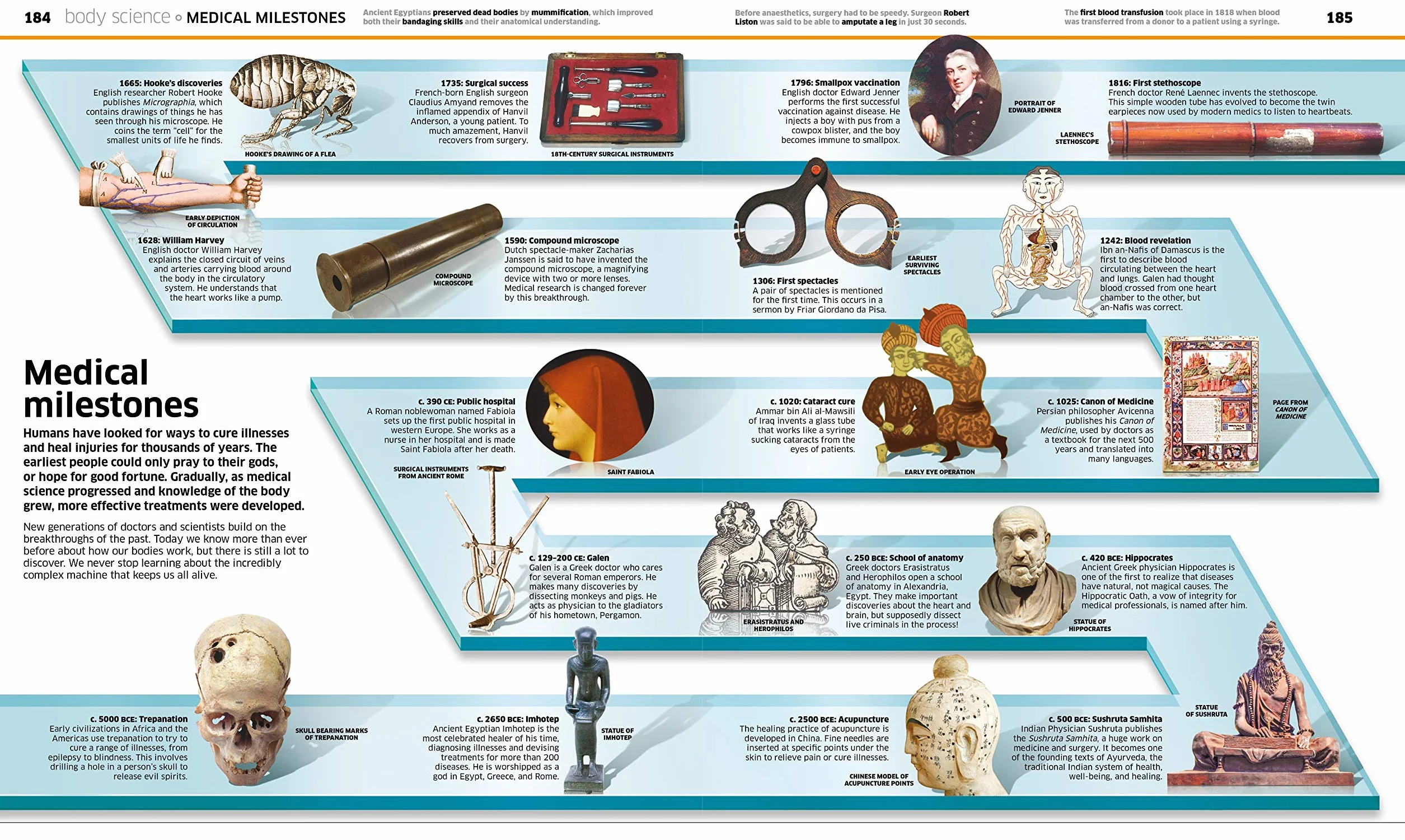 Knowledge Encyclopedia Human Body! (Knowledge Encyclopedias): Human Anatomy as You've Never Seen It Before