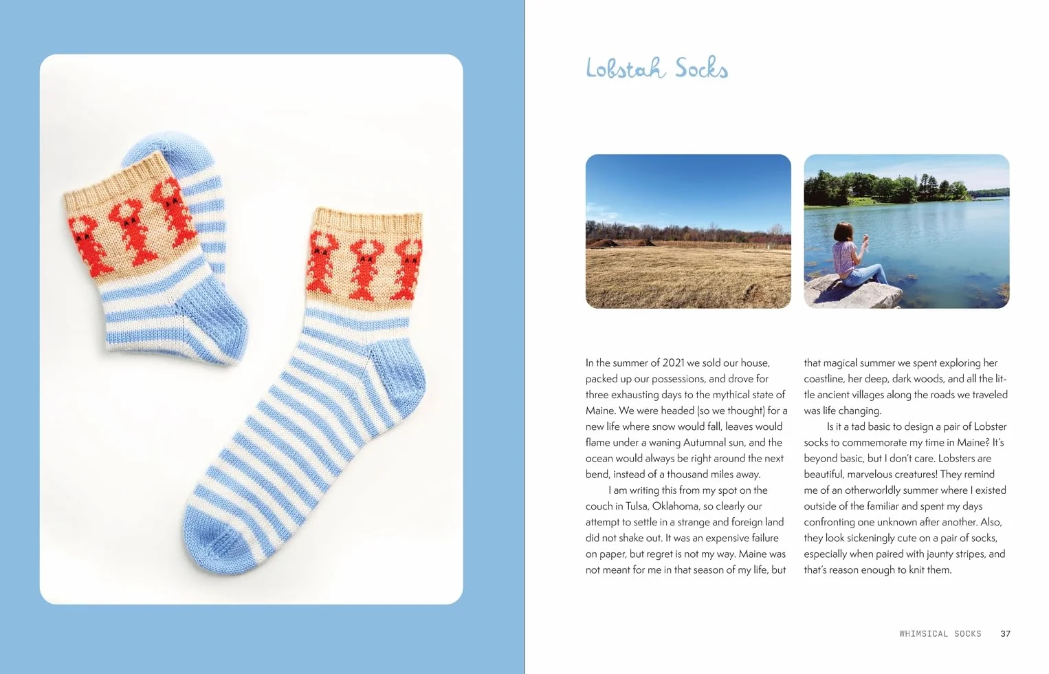 The Sock Obsession: Supercool Socks to Knit and Show Off