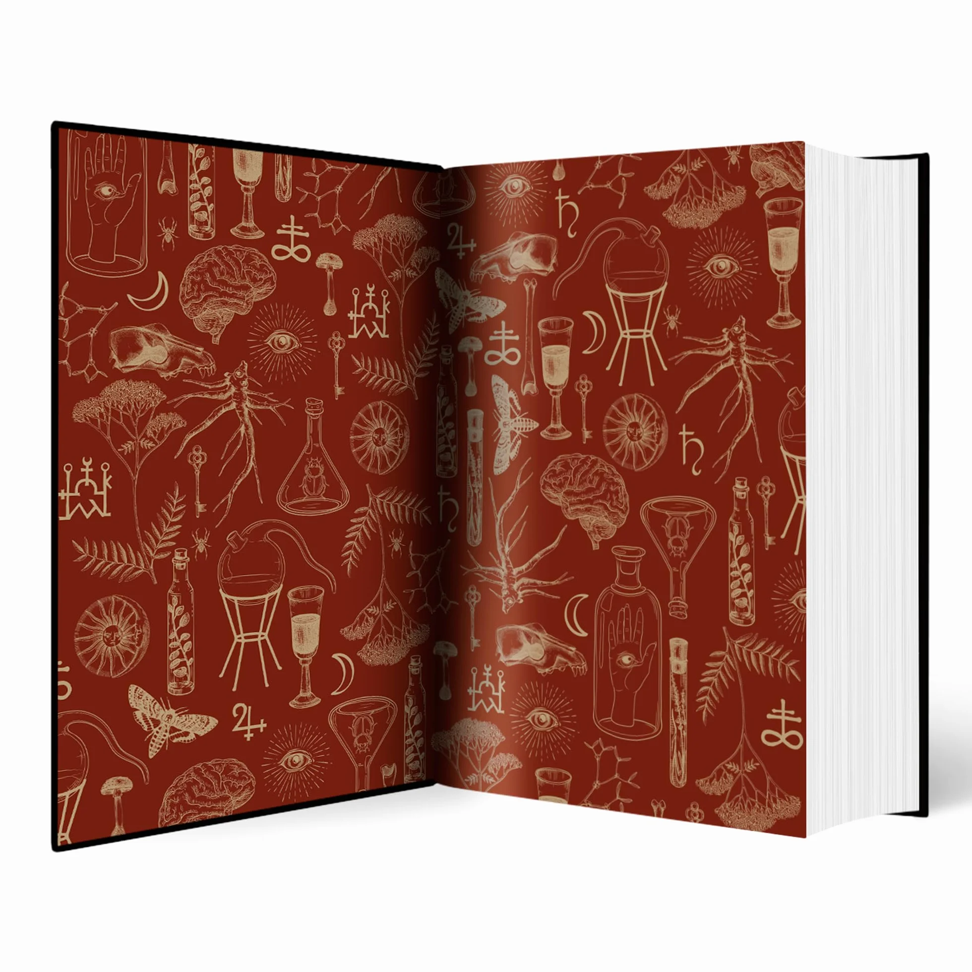 Alchemised: The 2025 Debut Novel Phenomenon