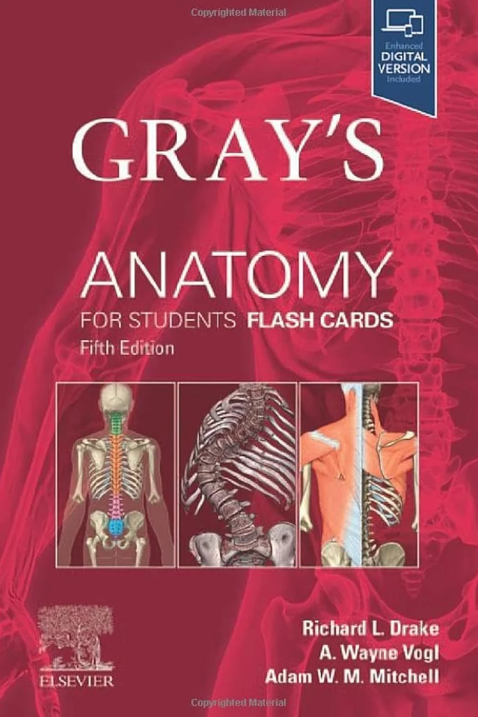 Gray's Anatomy for Students Flash Cards