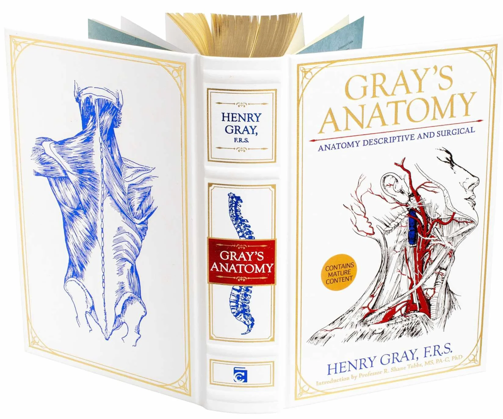 Gray's Anatomy: Descriptive and Surgical