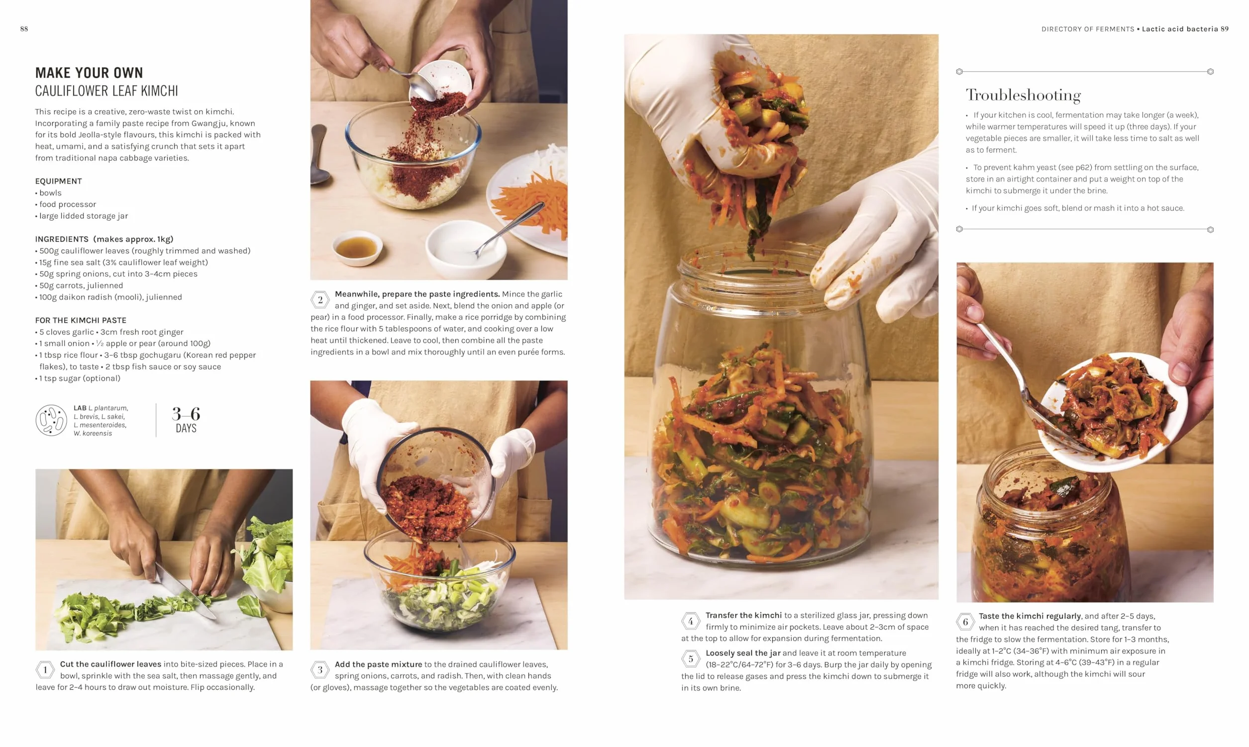 The Science of Fermentation: Explore the Fascinating Alchemy of Fermented Food and Drink