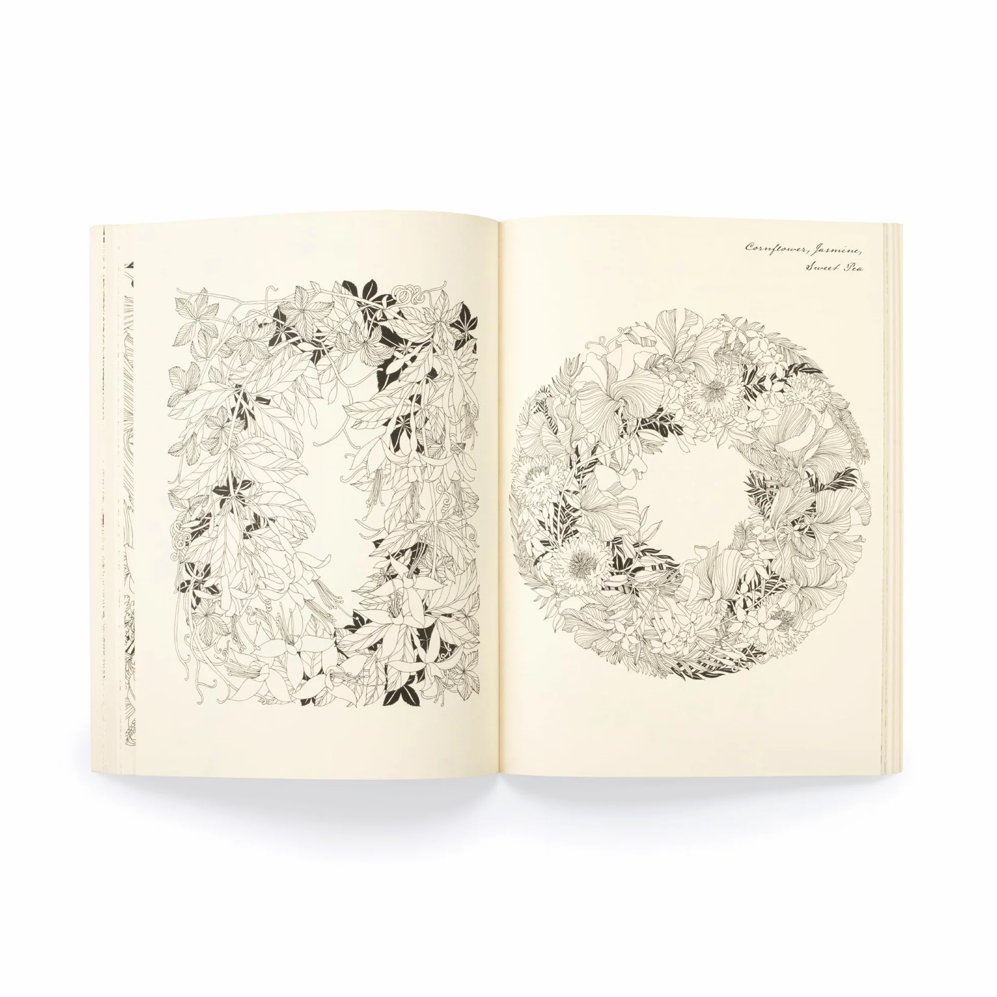 Floribunda Year: A Flower Colouring Companion