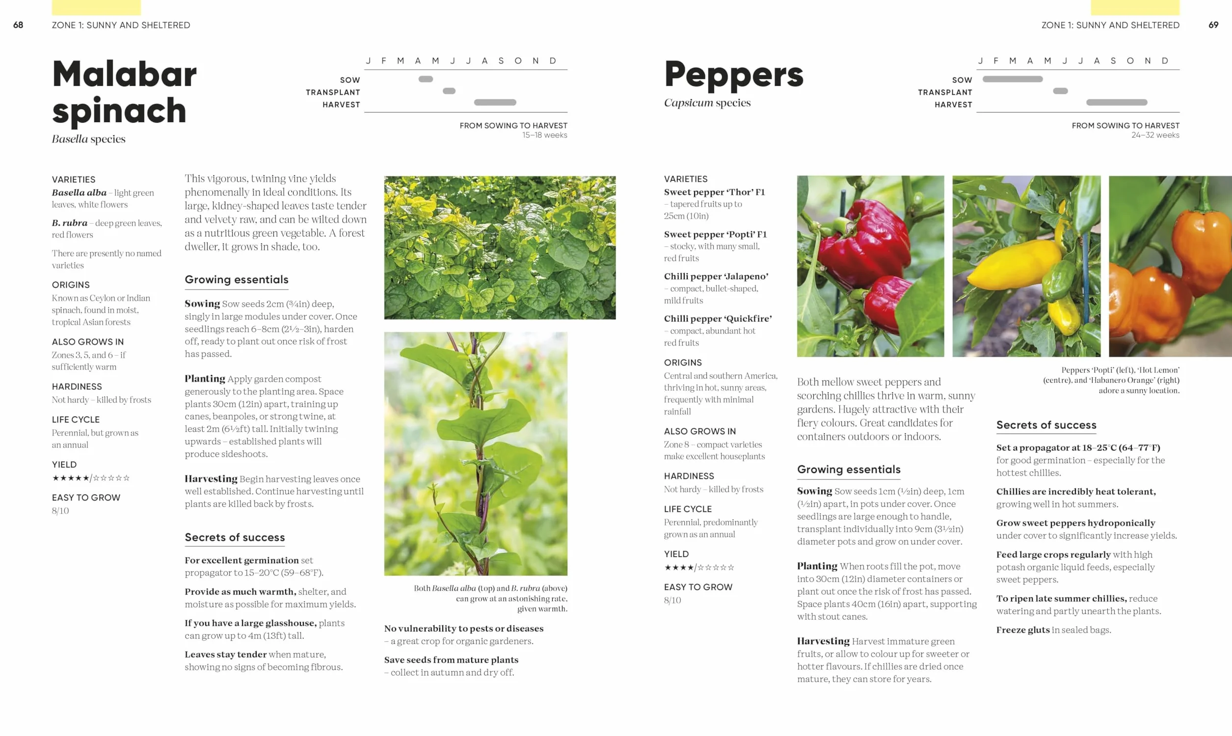 RHS Grow Food Anywhere: How to Plant the Right Crops in the Right Place and Help Your Garden Thrive
