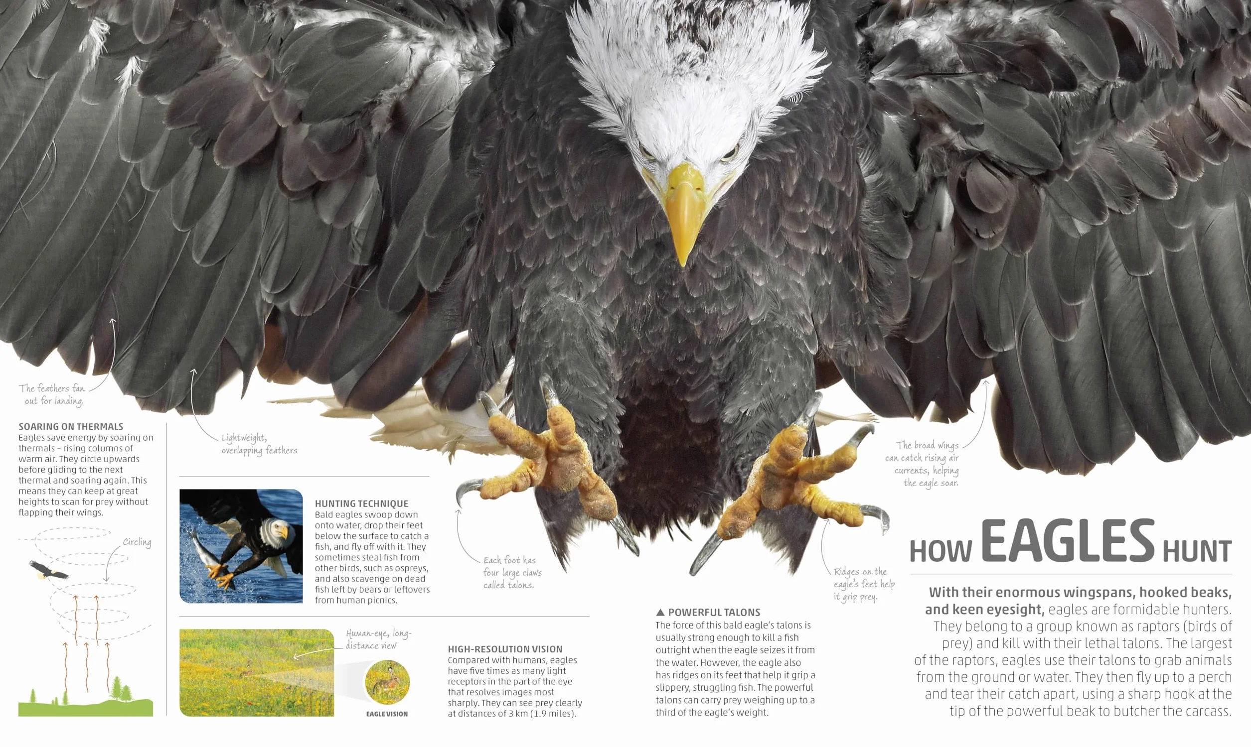 Explanatorium of Nature: Where the Wonders of the World are Revealed