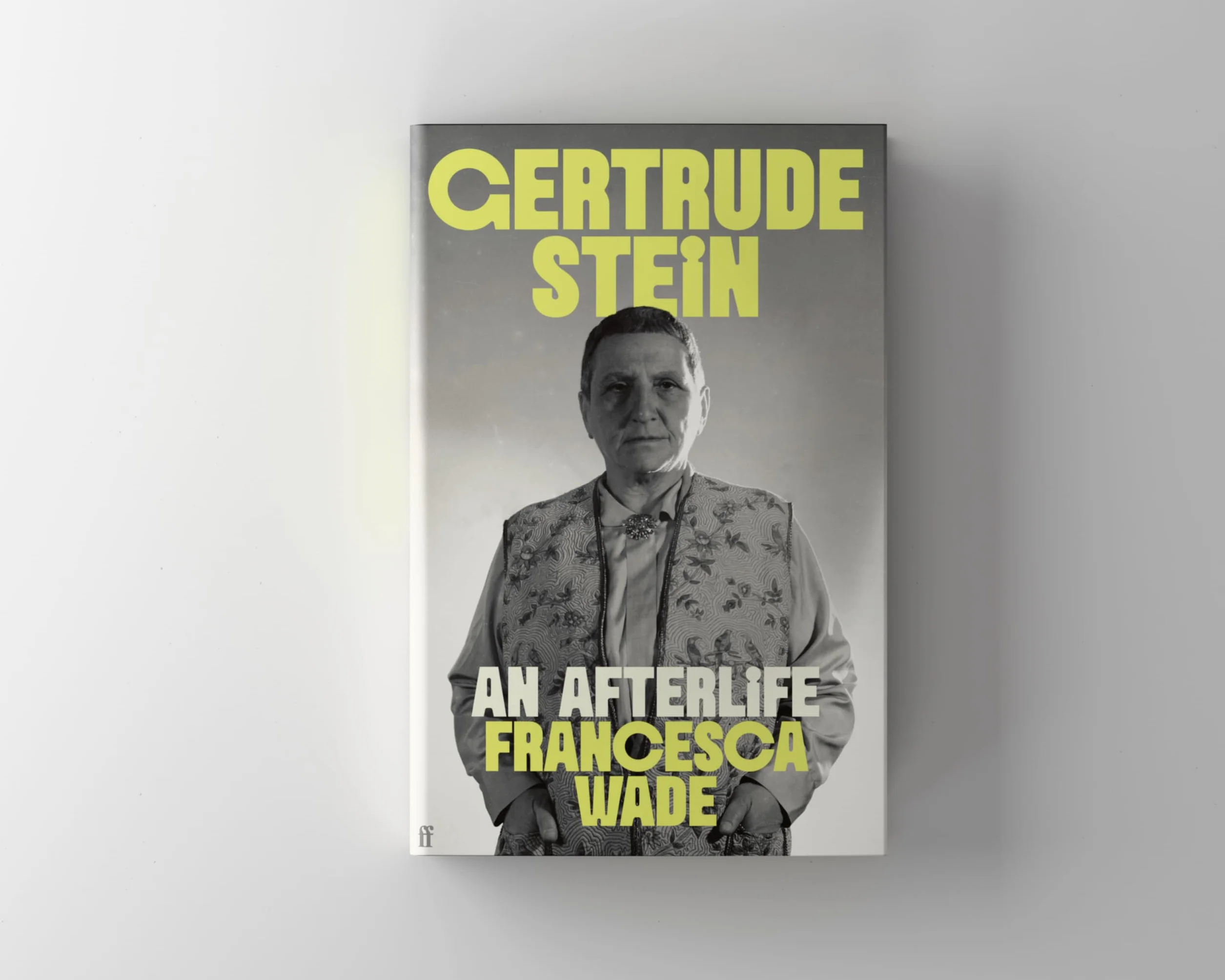 Gertrude Stein: An Afterlife – 'Strikingly accomplished . . . utterly compelling.'