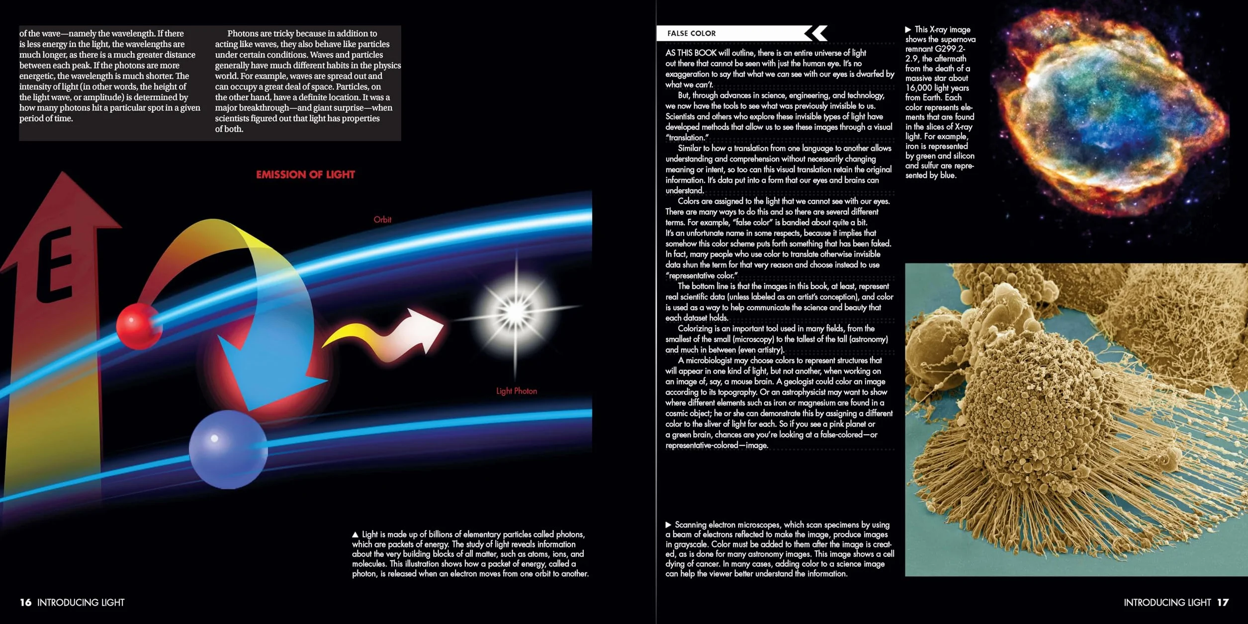 Light: The Visible Spectrum and Beyond