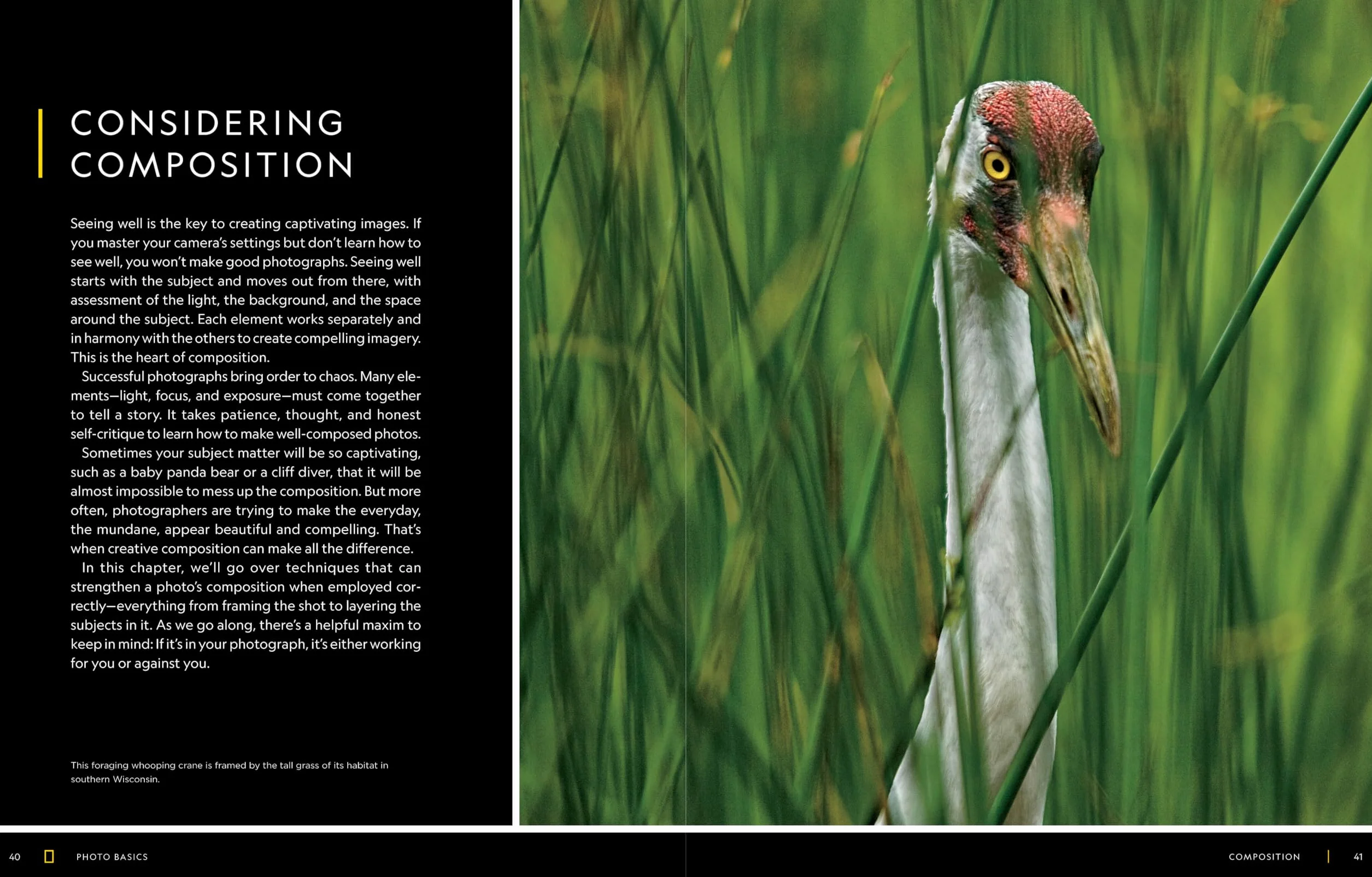 National Geographic Photo Basics: The Ultimate Beginner's Guide to Great Photography