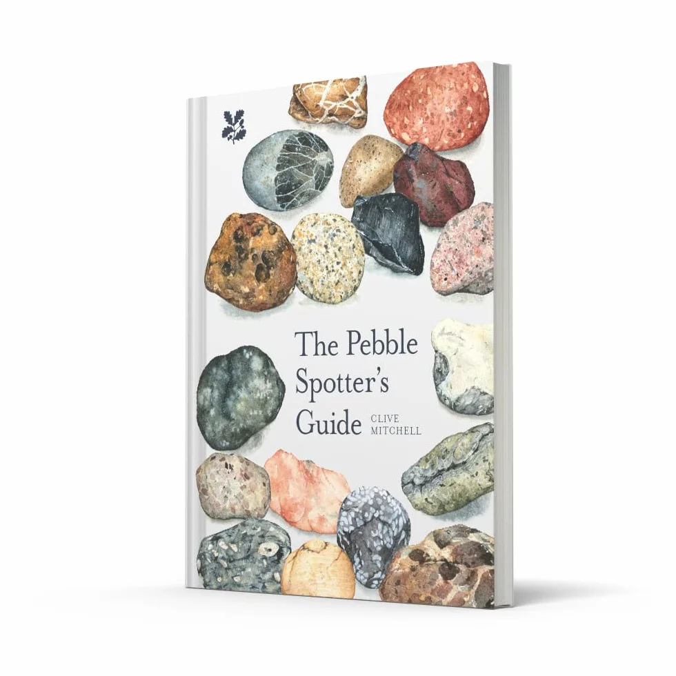 The Pebble Spotter's Guide