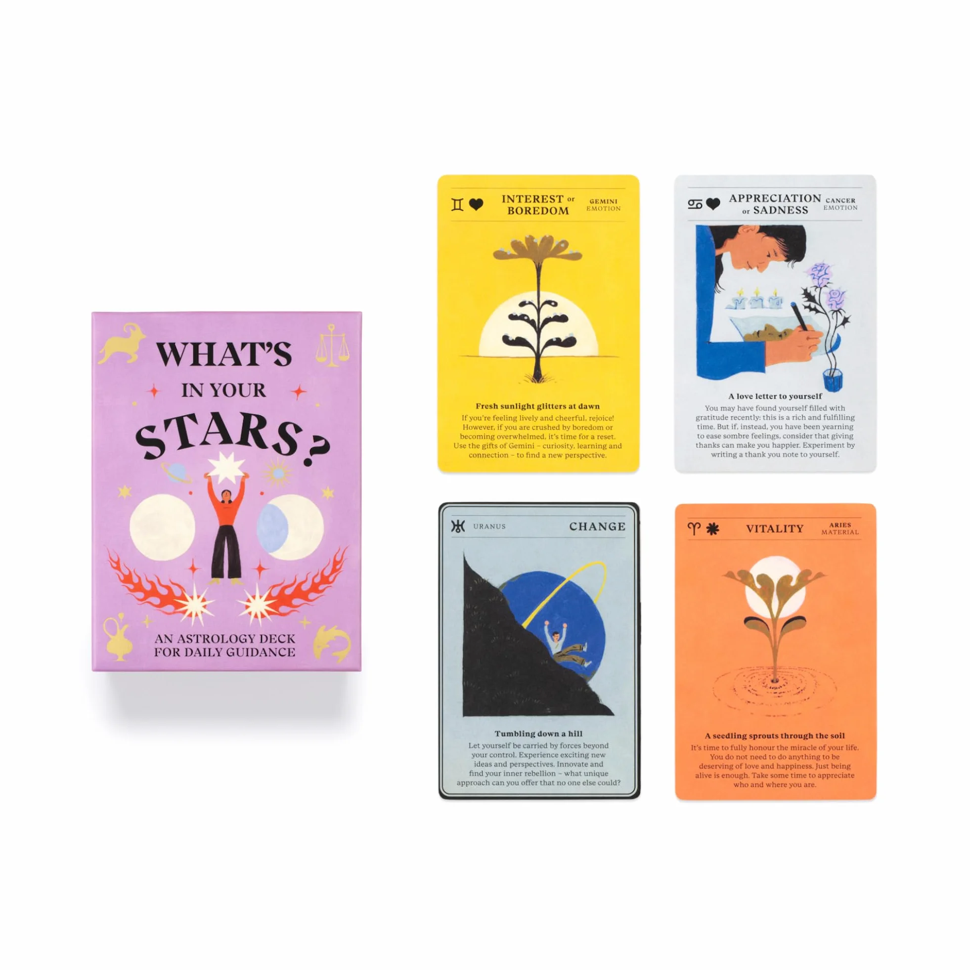 What's in Your Stars? An Astrology Deck for Daily Guidance /anglais