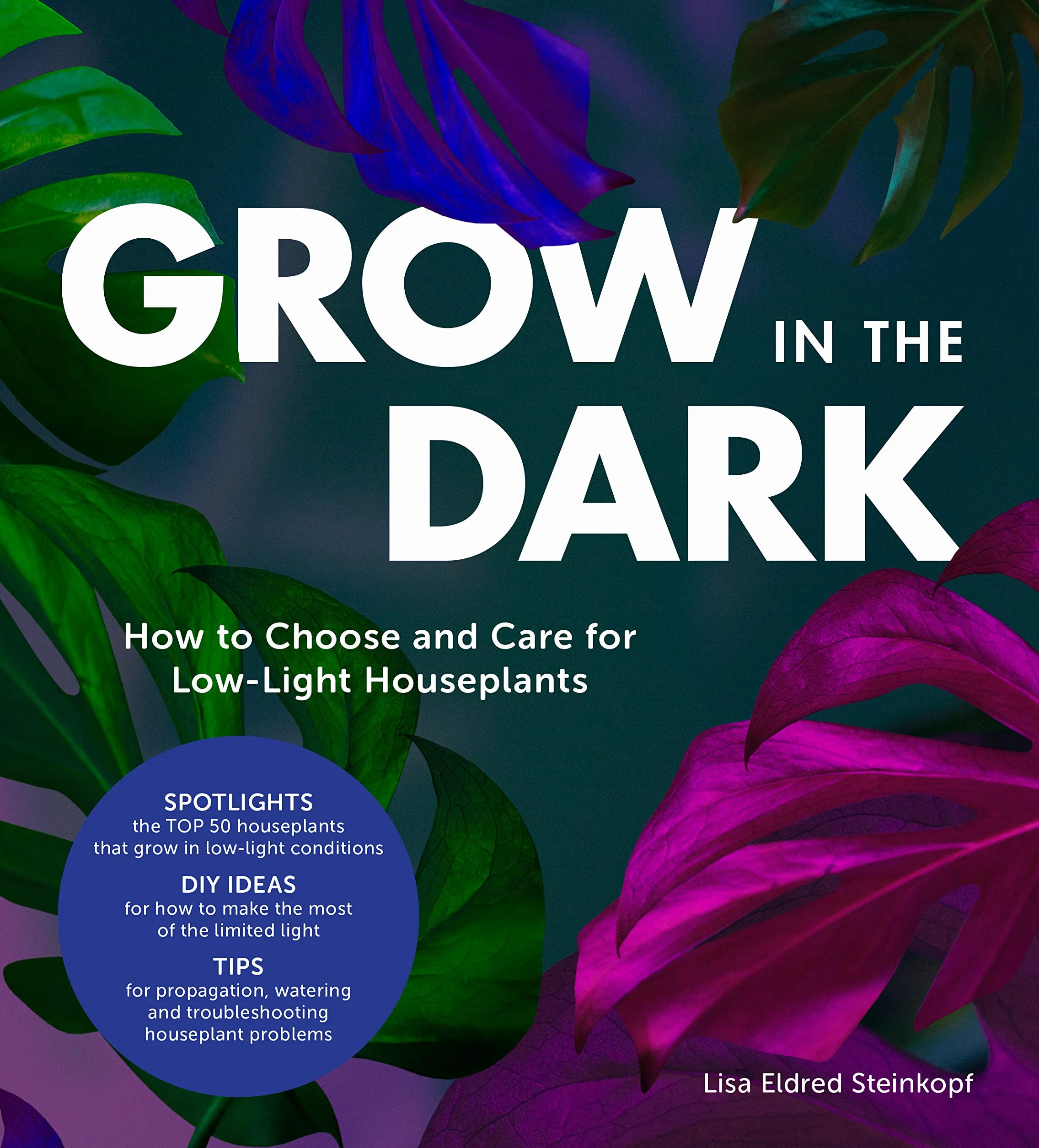 Grow in the Dark: How to Choose and Care for Low-Light Houseplants