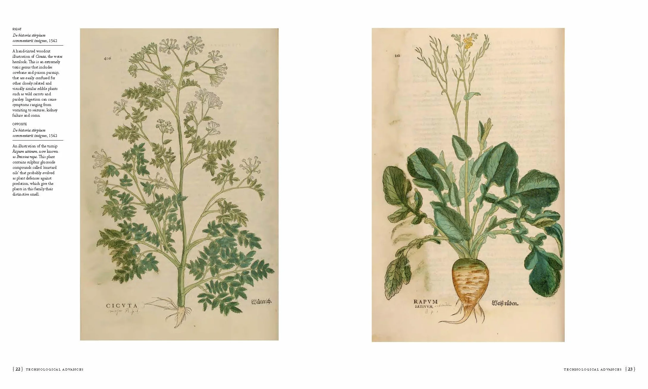 The Botanists' Library: Najważniejsze Książki Botaniczne w Historii